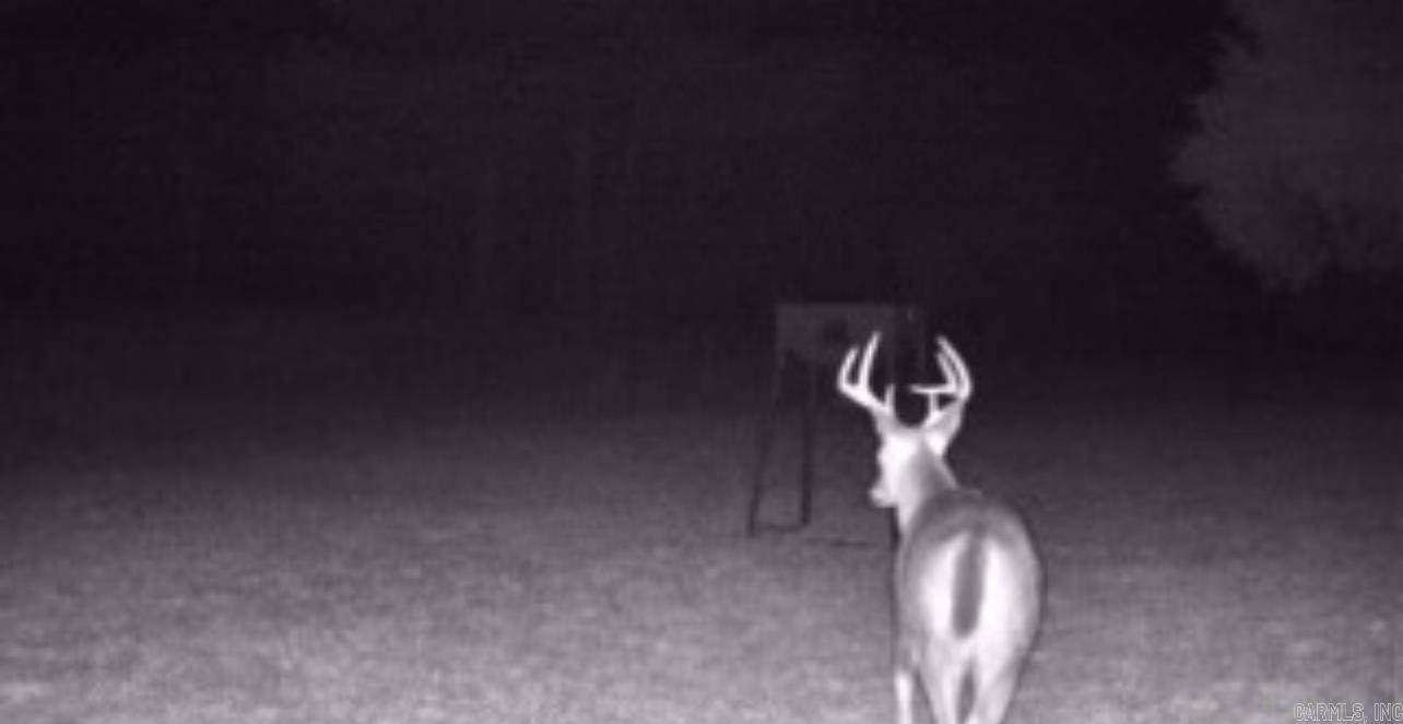 344  Rockwood Ln  Clinton, AR