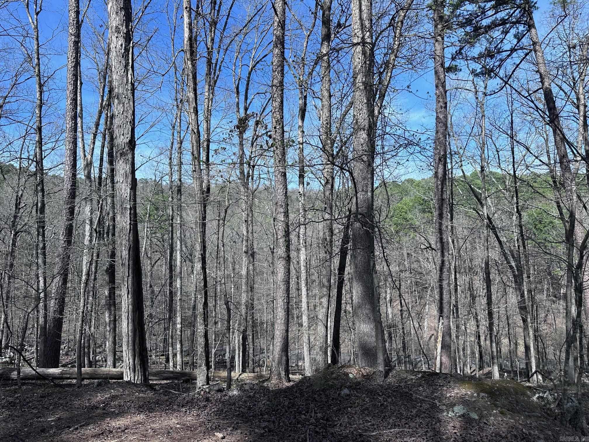 30  Badajoz Way  Hot Springs Village, AR