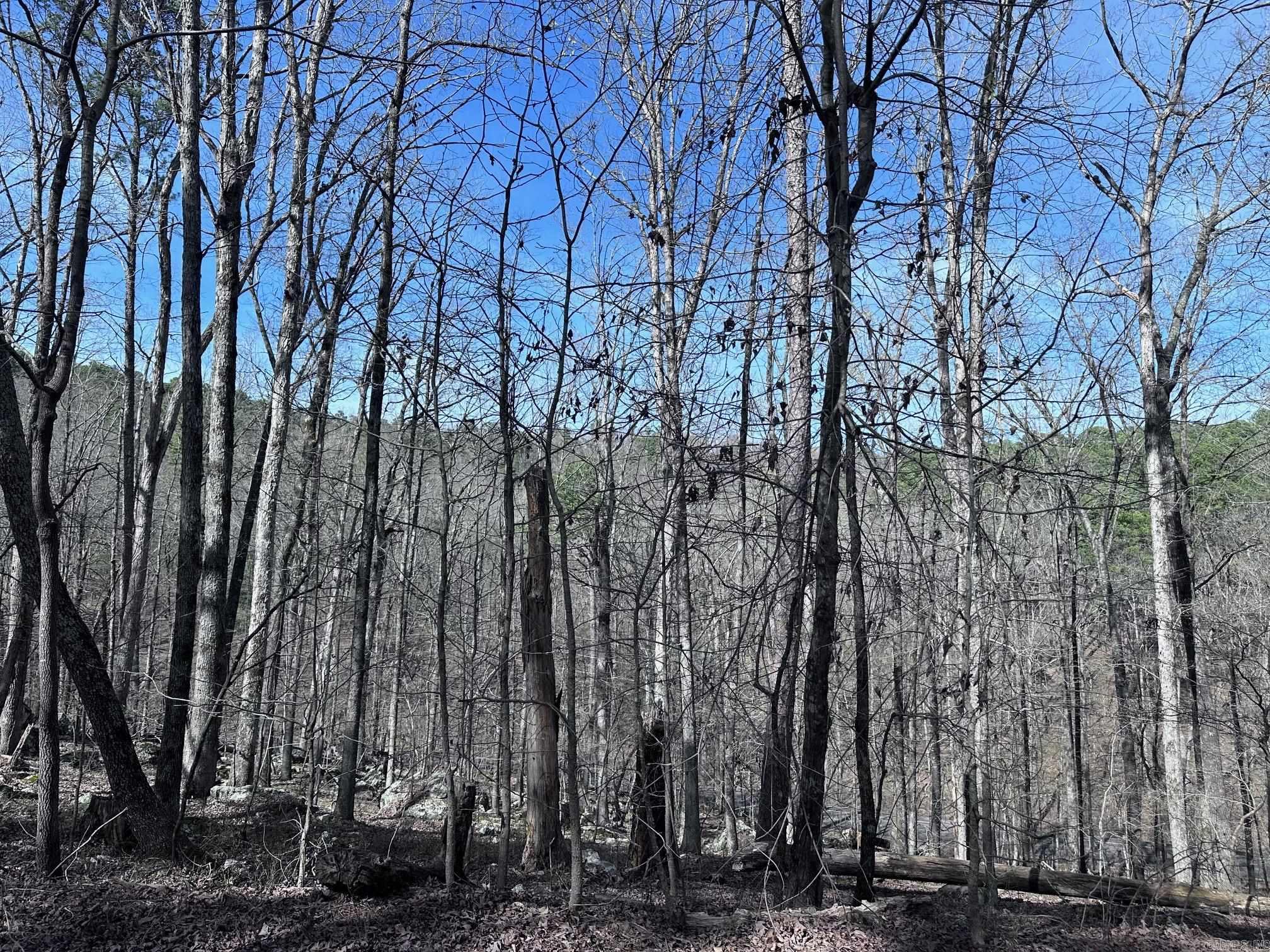 30  Badajoz Way  Hot Springs Village, AR