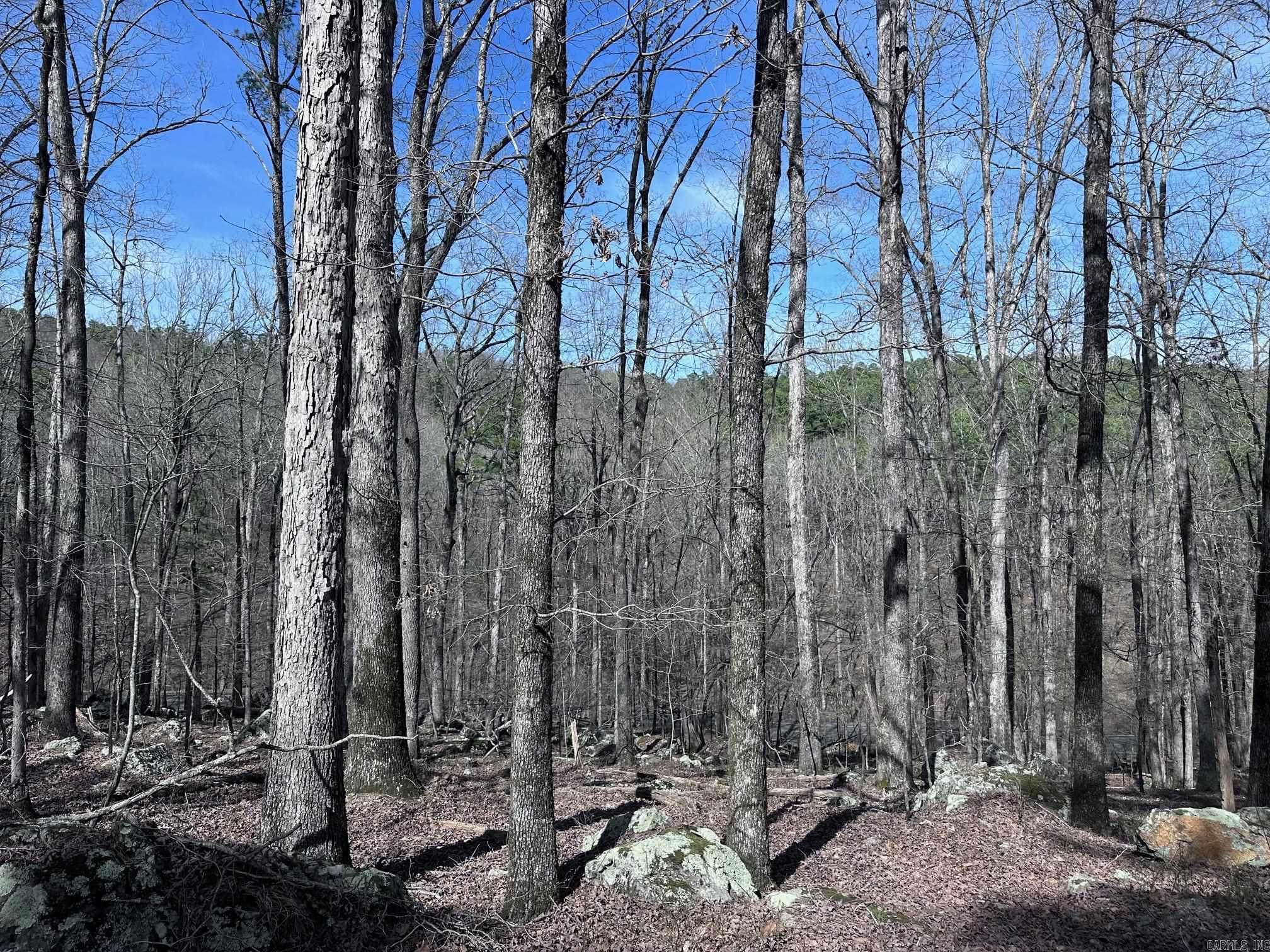 30  Badajoz Way  Hot Springs Village, AR