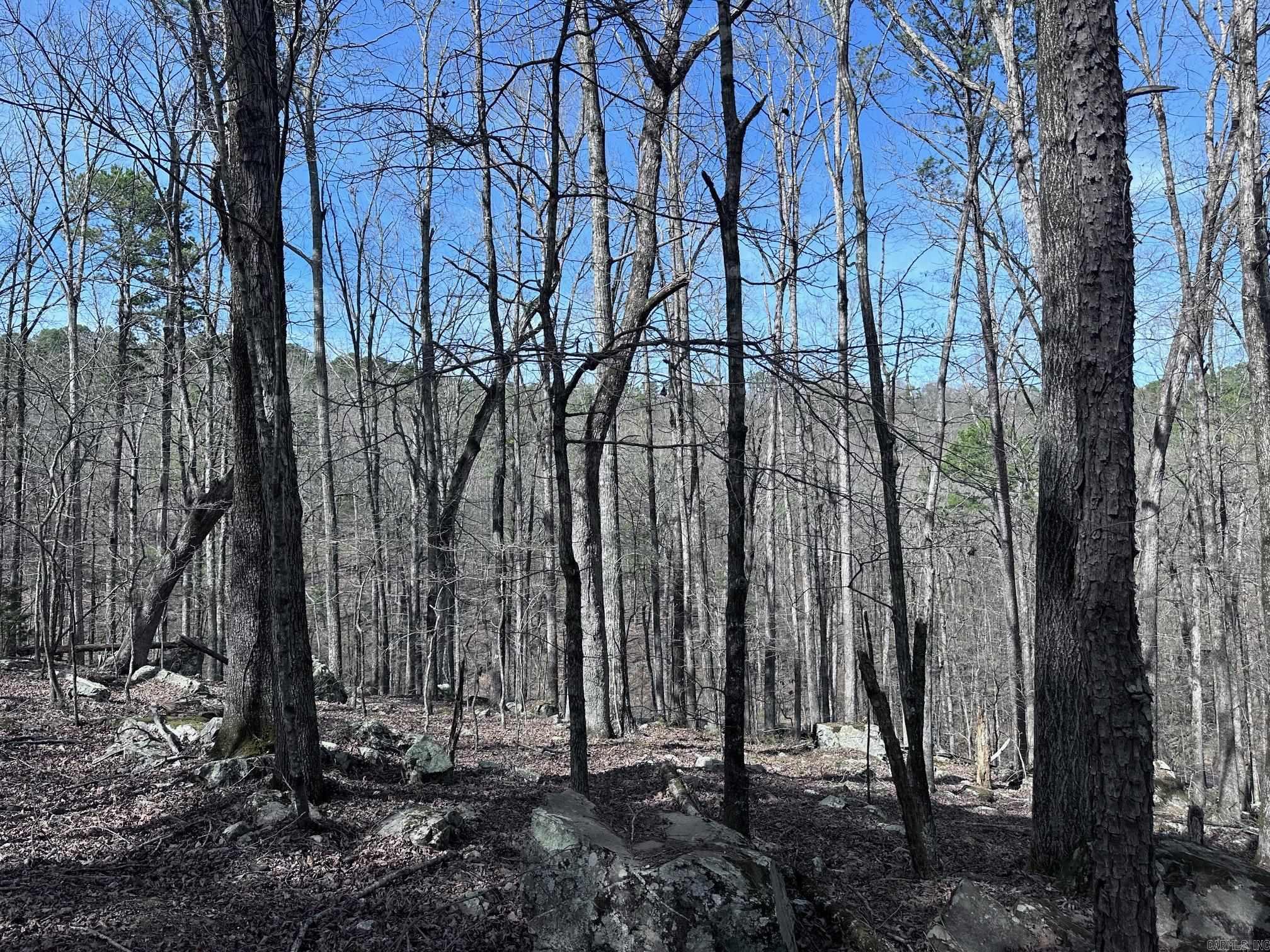30  Badajoz Way  Hot Springs Village, AR