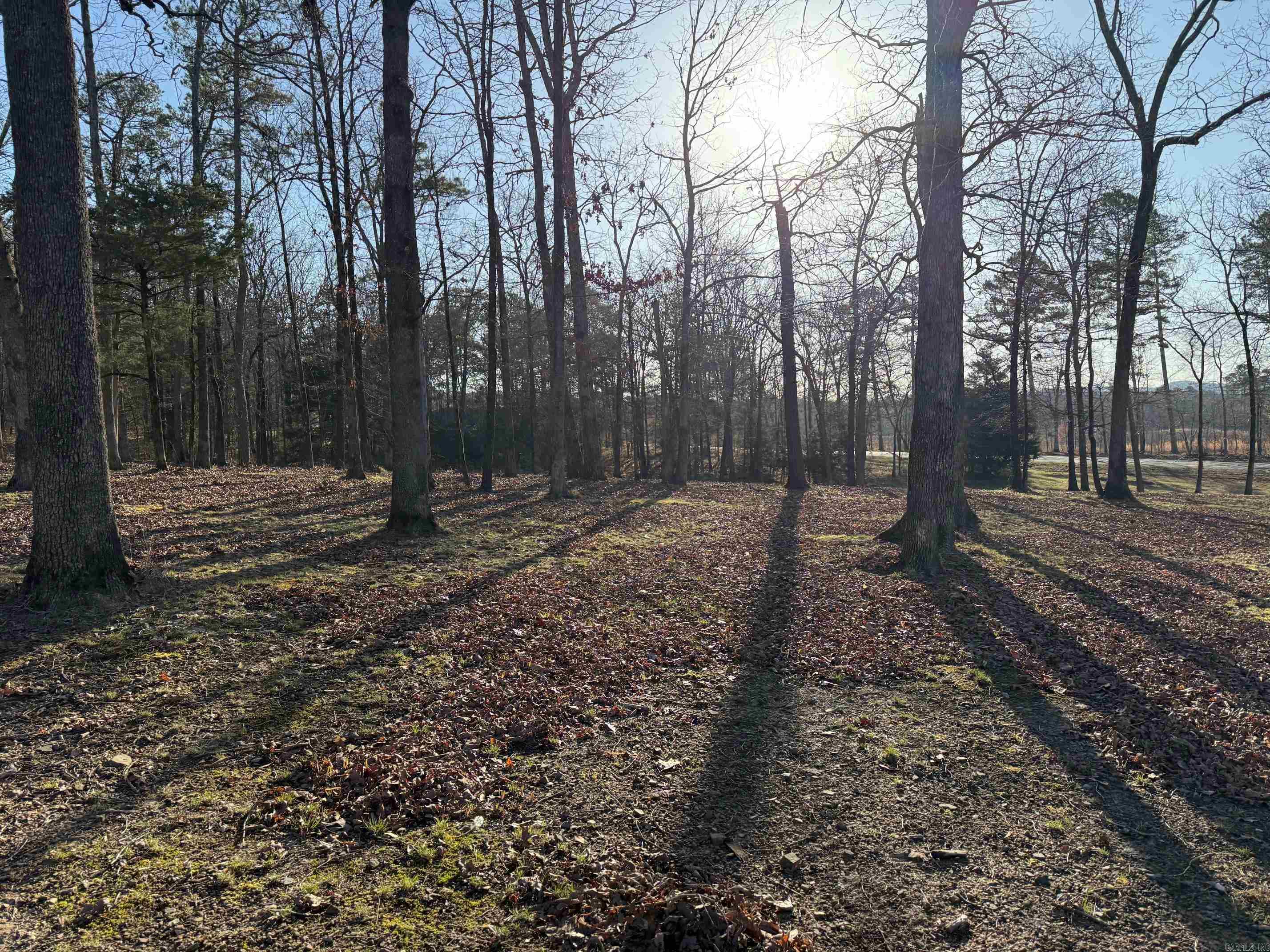 TBD S HWY 71  LOT #2 LOT#2 Iron Mountain Mena, AR