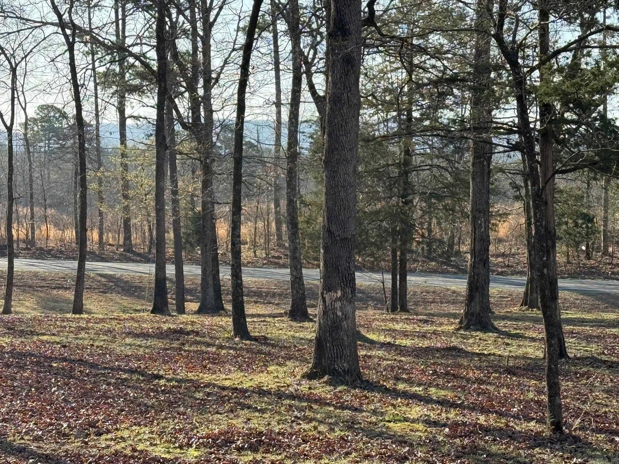 TBD S HWY 71  LOT #2 LOT#2 Iron Mountain Mena, AR