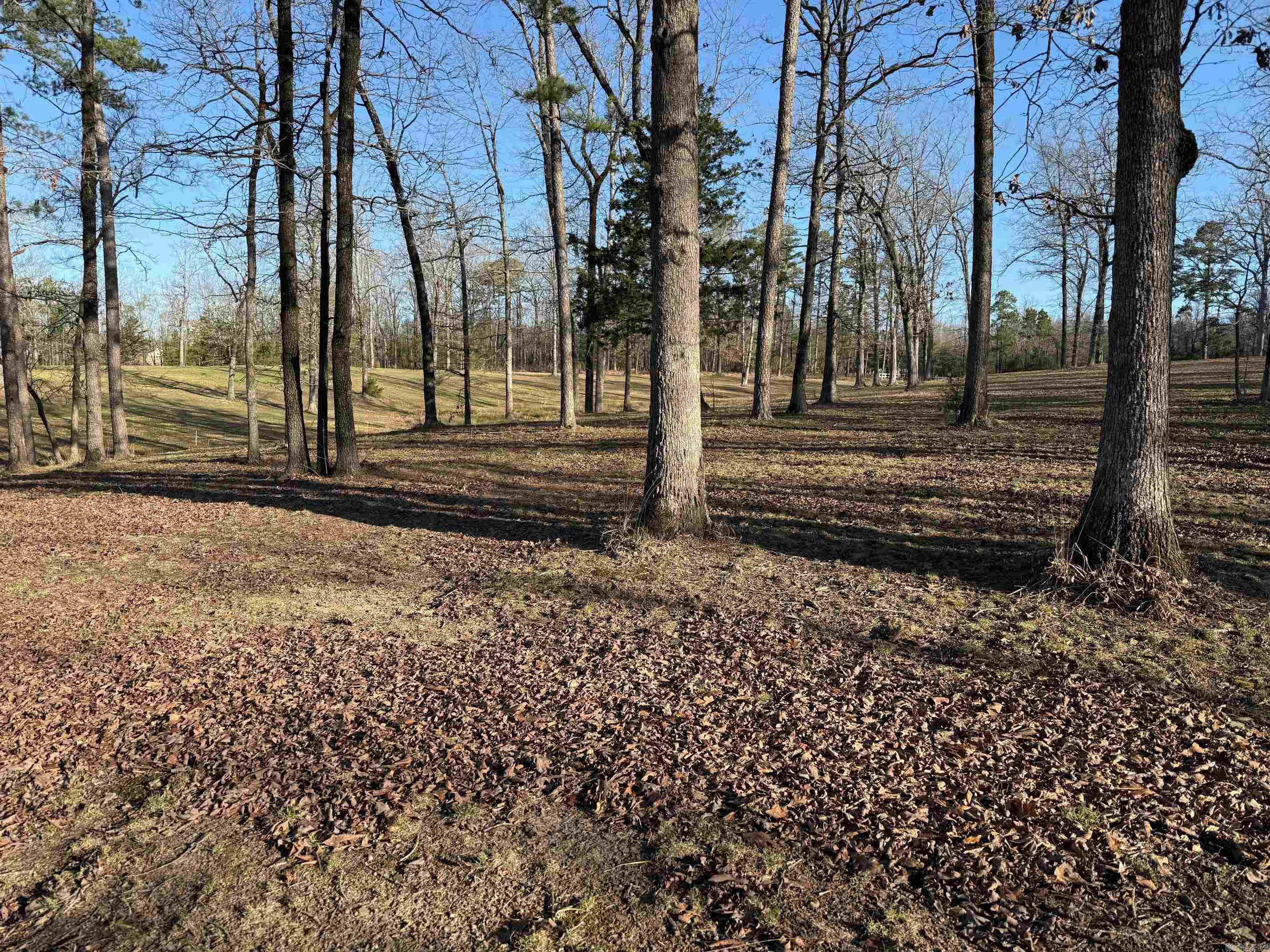TBD S HWY 71  LOT #2 LOT#2 Iron Mountain Mena, AR