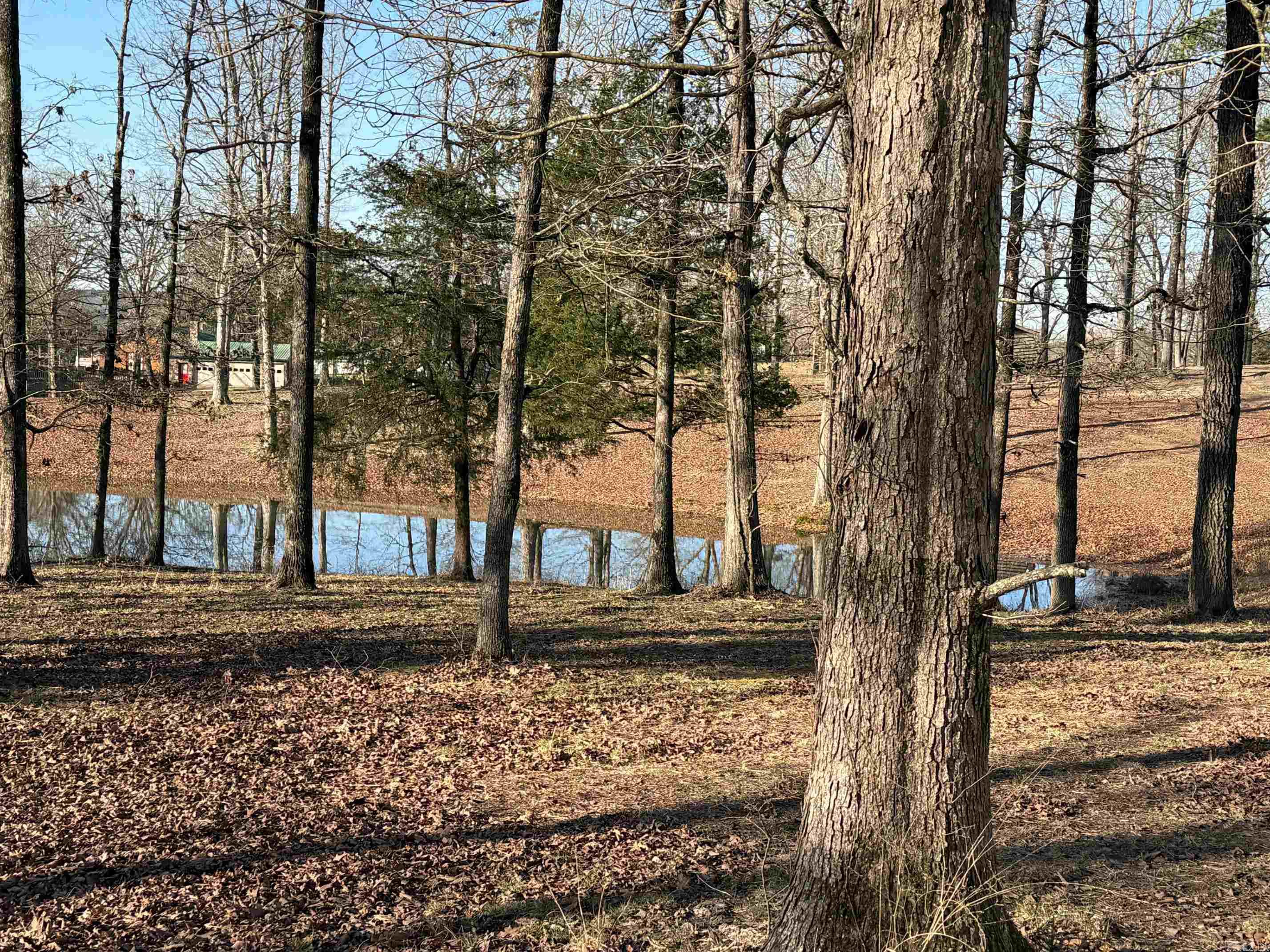 TBD S HWY 71  LOT #2 LOT#2 Iron Mountain Mena, AR