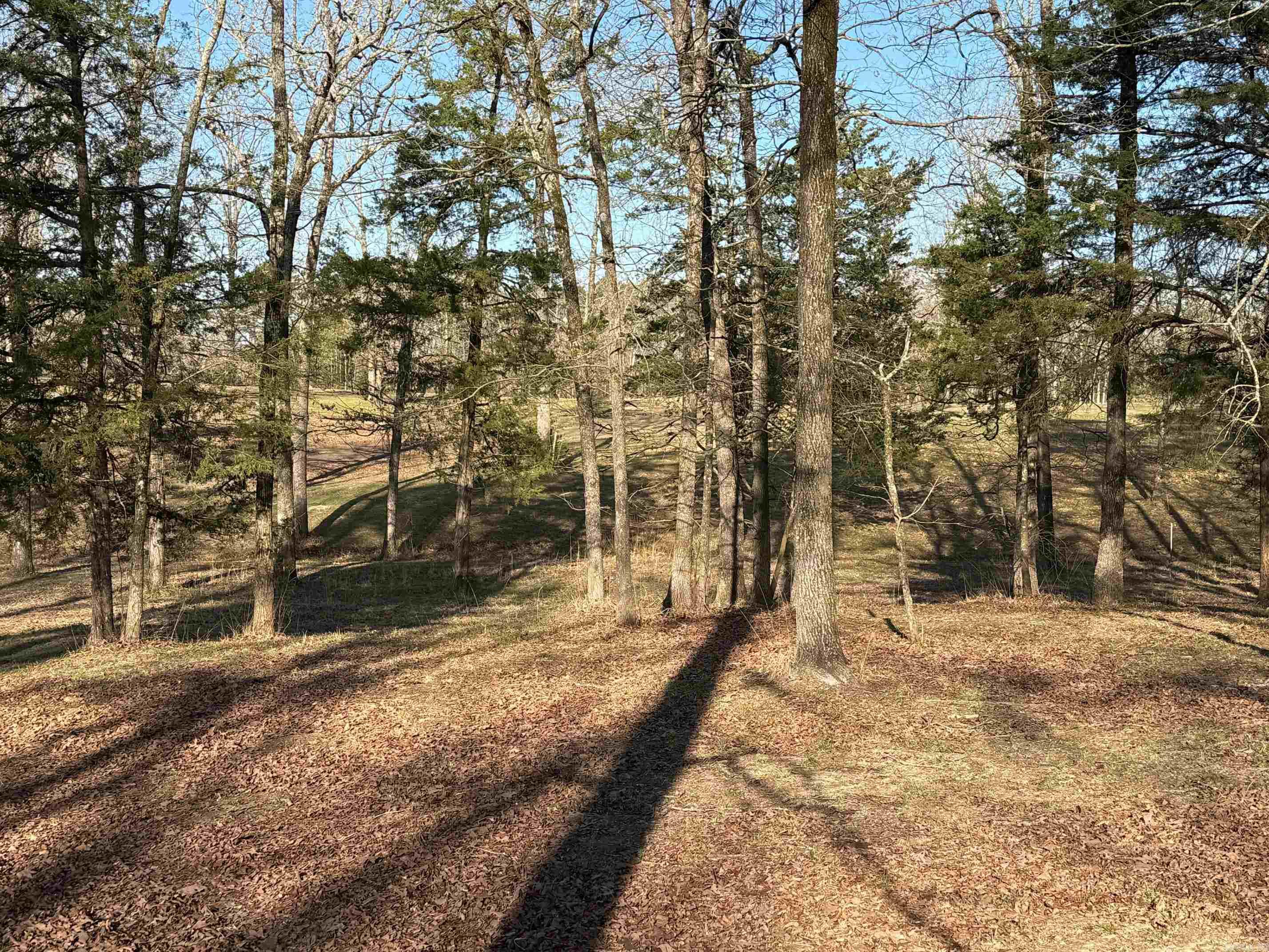 TBD S HWY 71  LOT #2 LOT#2 Iron Mountain Mena, AR