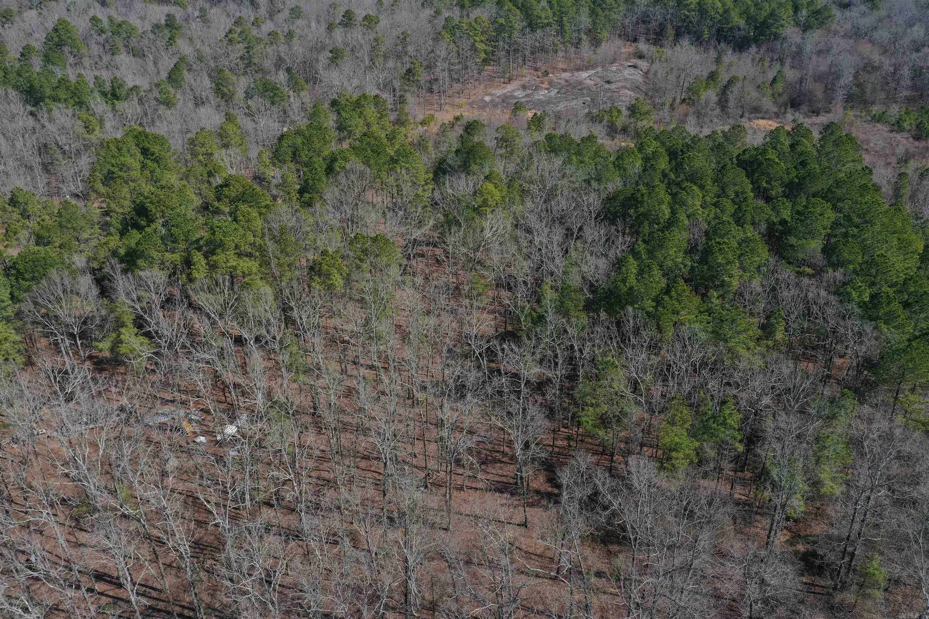 45  Rustic Way  Amity, AR