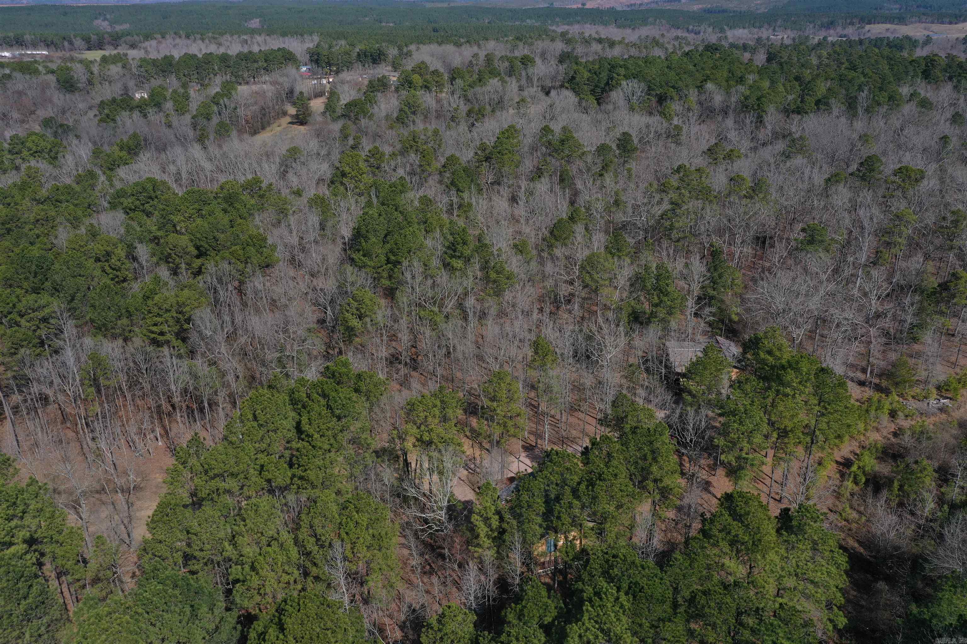 45  Rustic Way  Amity, AR