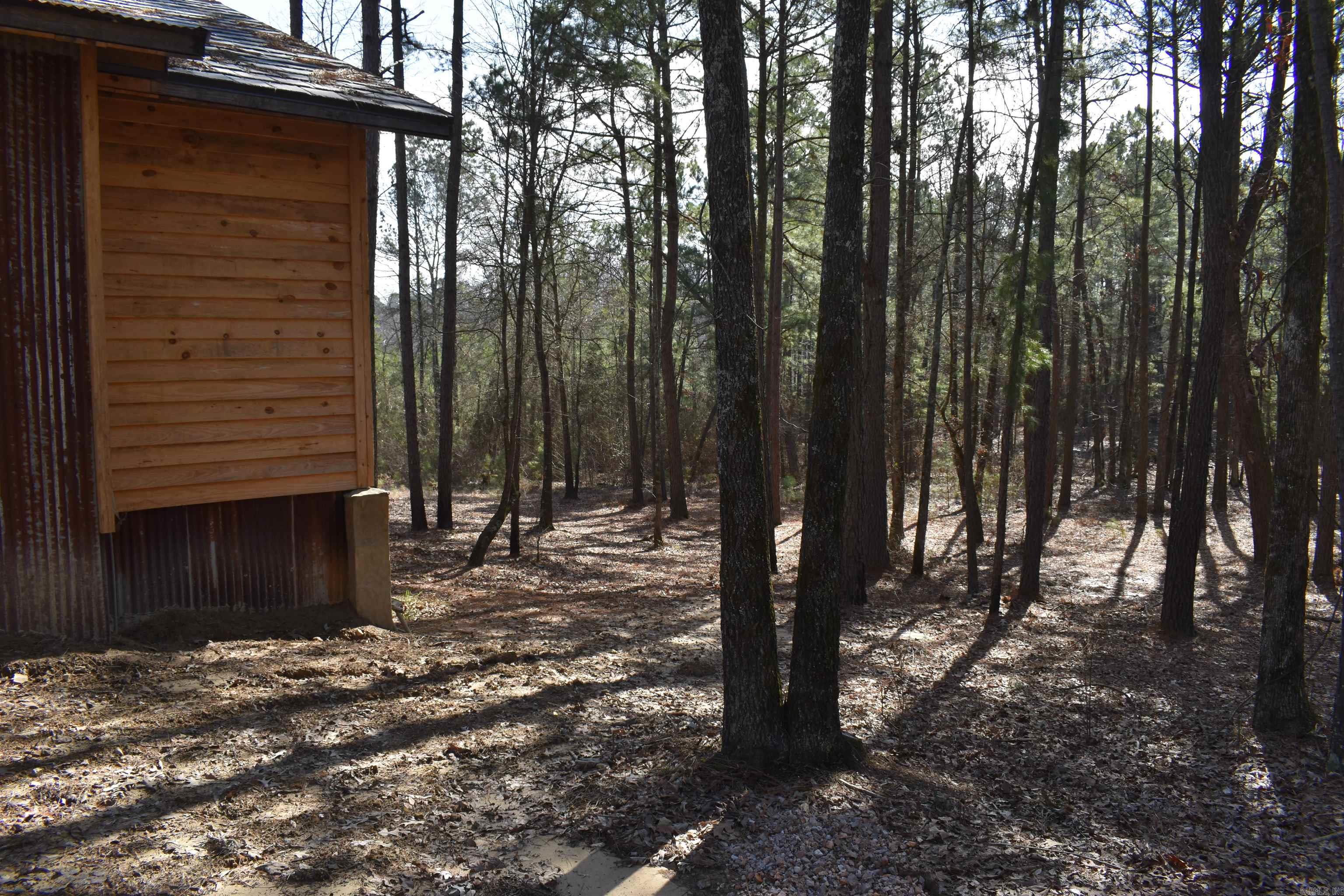 45  Rustic Way  Amity, AR