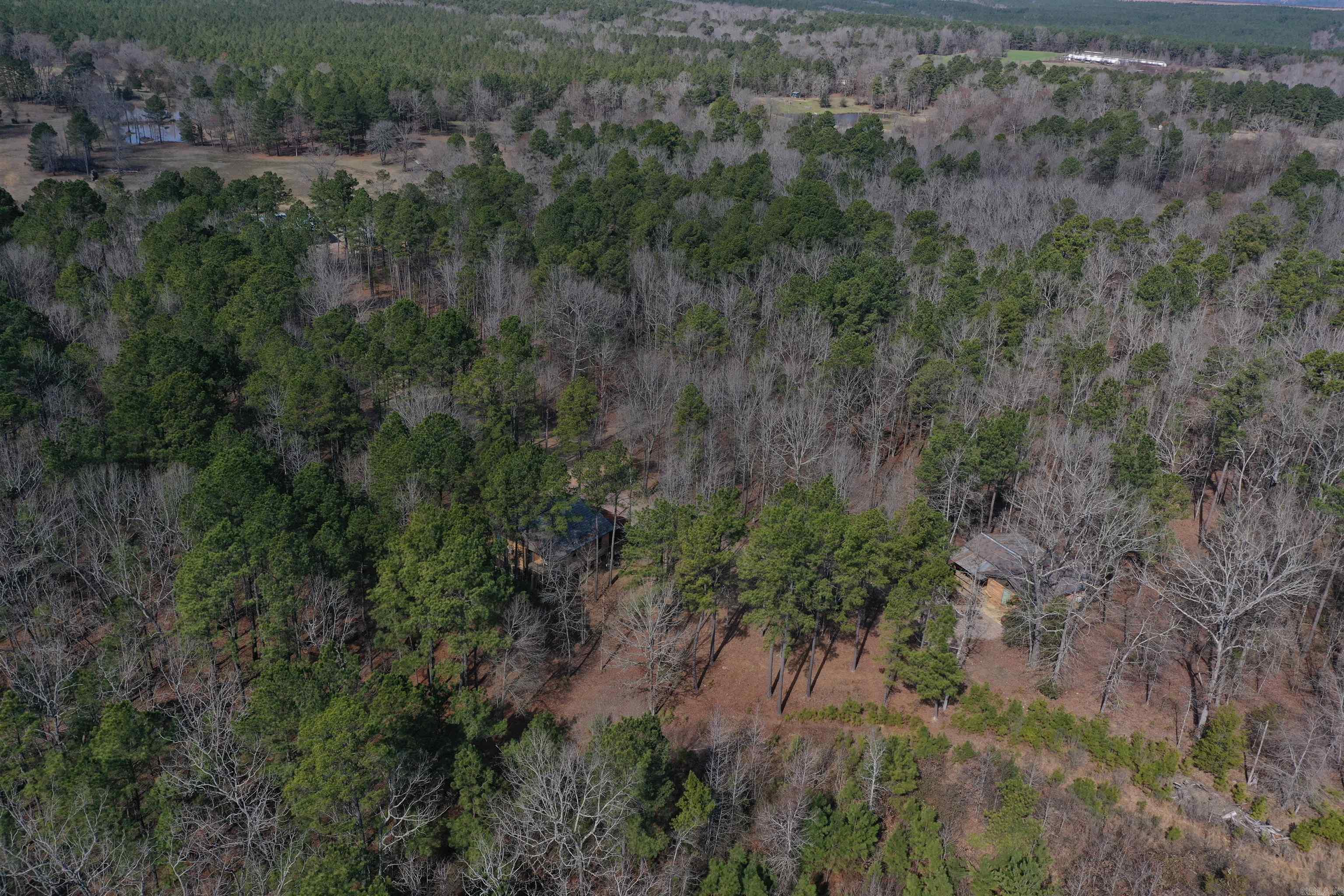 45  Rustic Way  Amity, AR