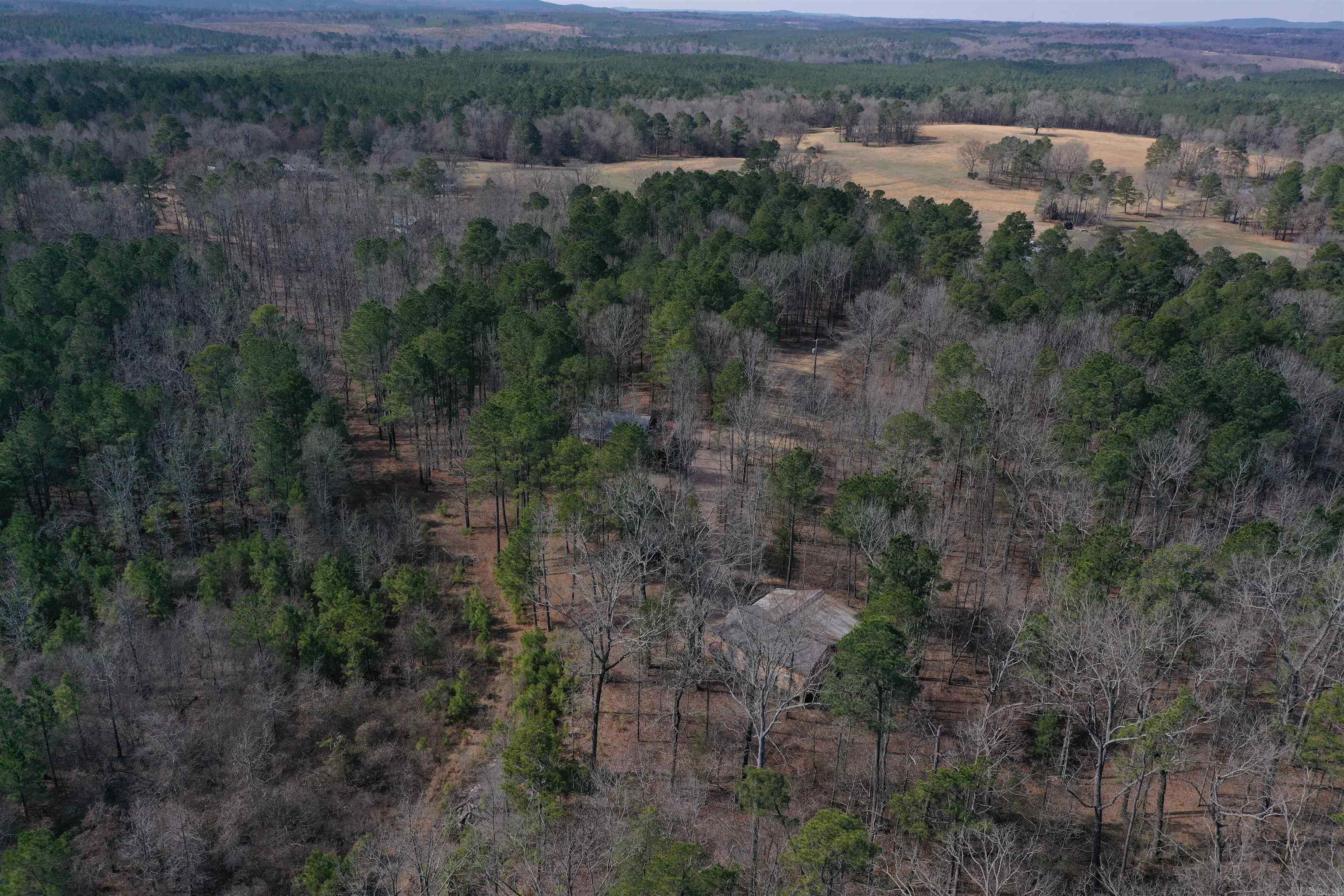 45  Rustic Way  Amity, AR