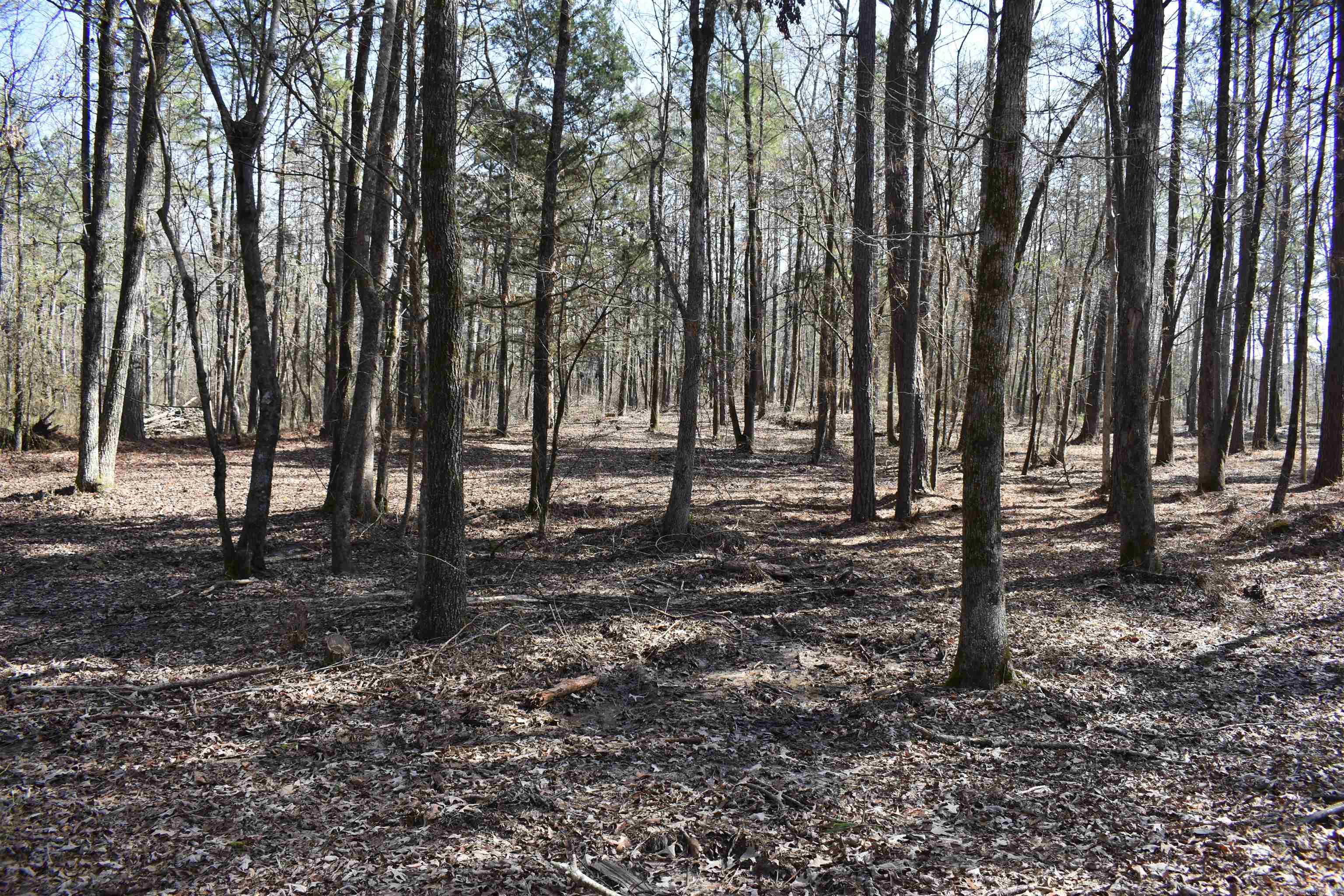 45  Rustic Way  Amity, AR
