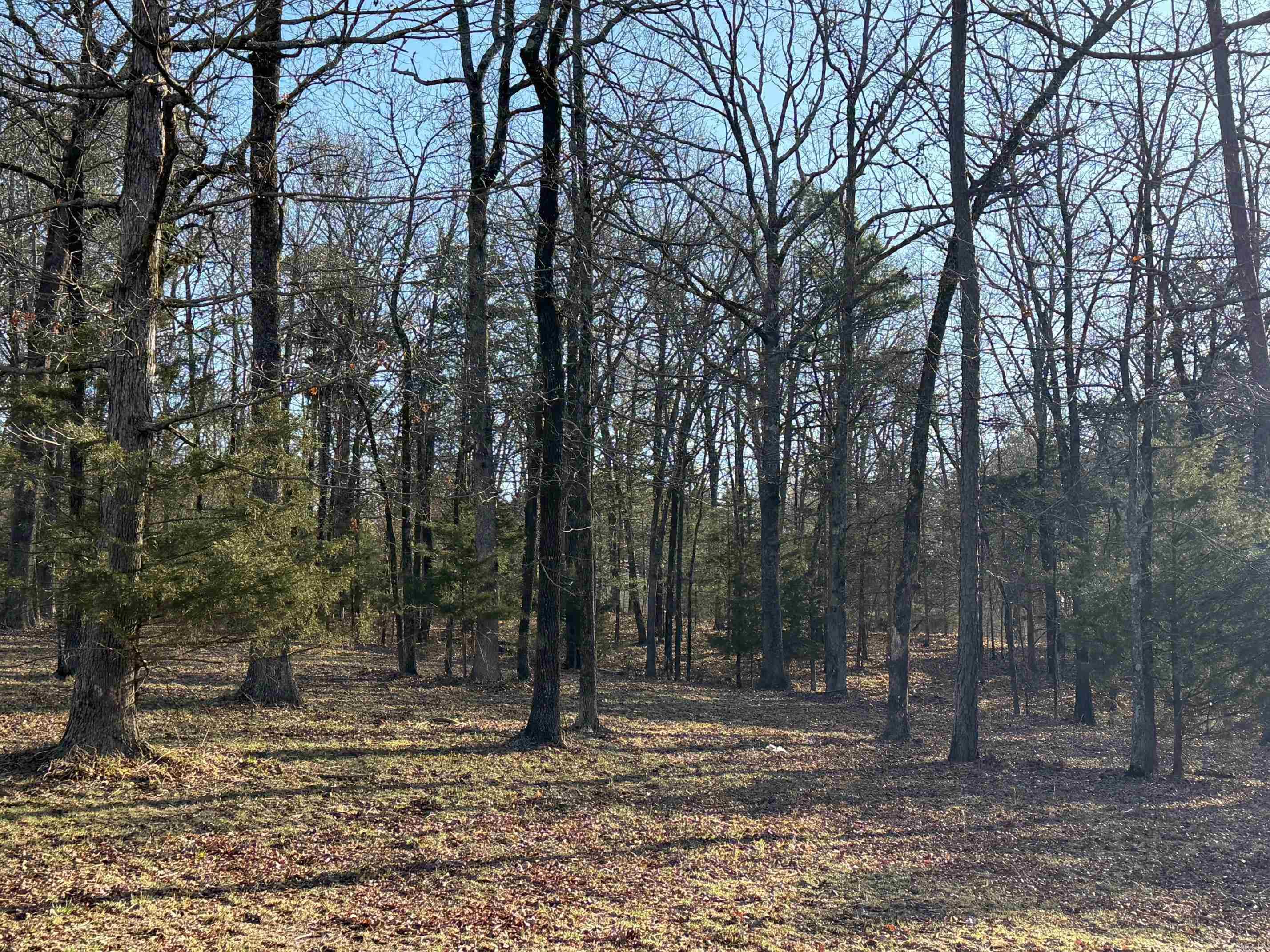 TBD  Polk Road 168 LOT #3 LOT #3 Iron Mountain Estates Mena, AR