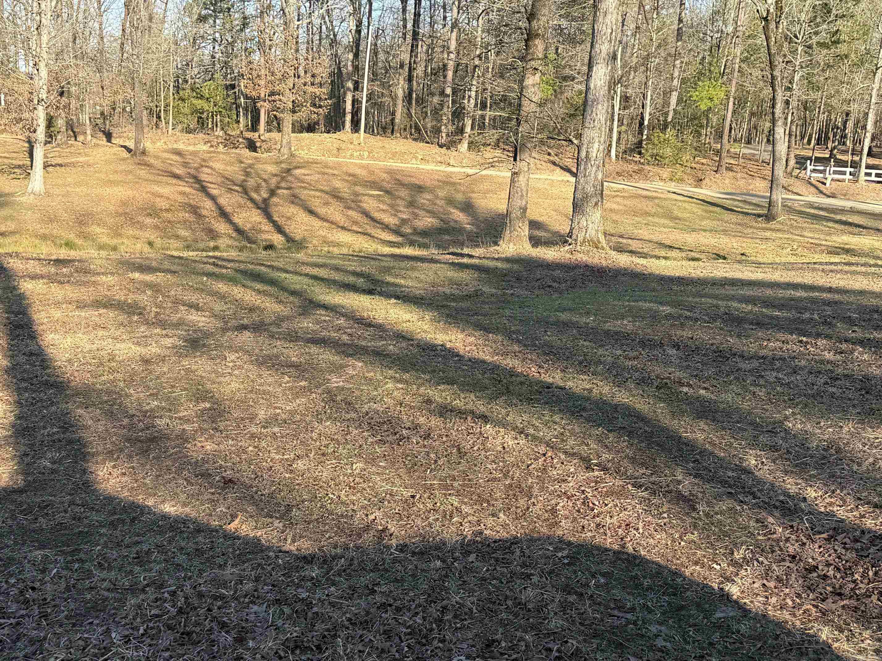 TBD  Polk Road 168 LOT #3 LOT #3 Iron Mountain Estates Mena, AR