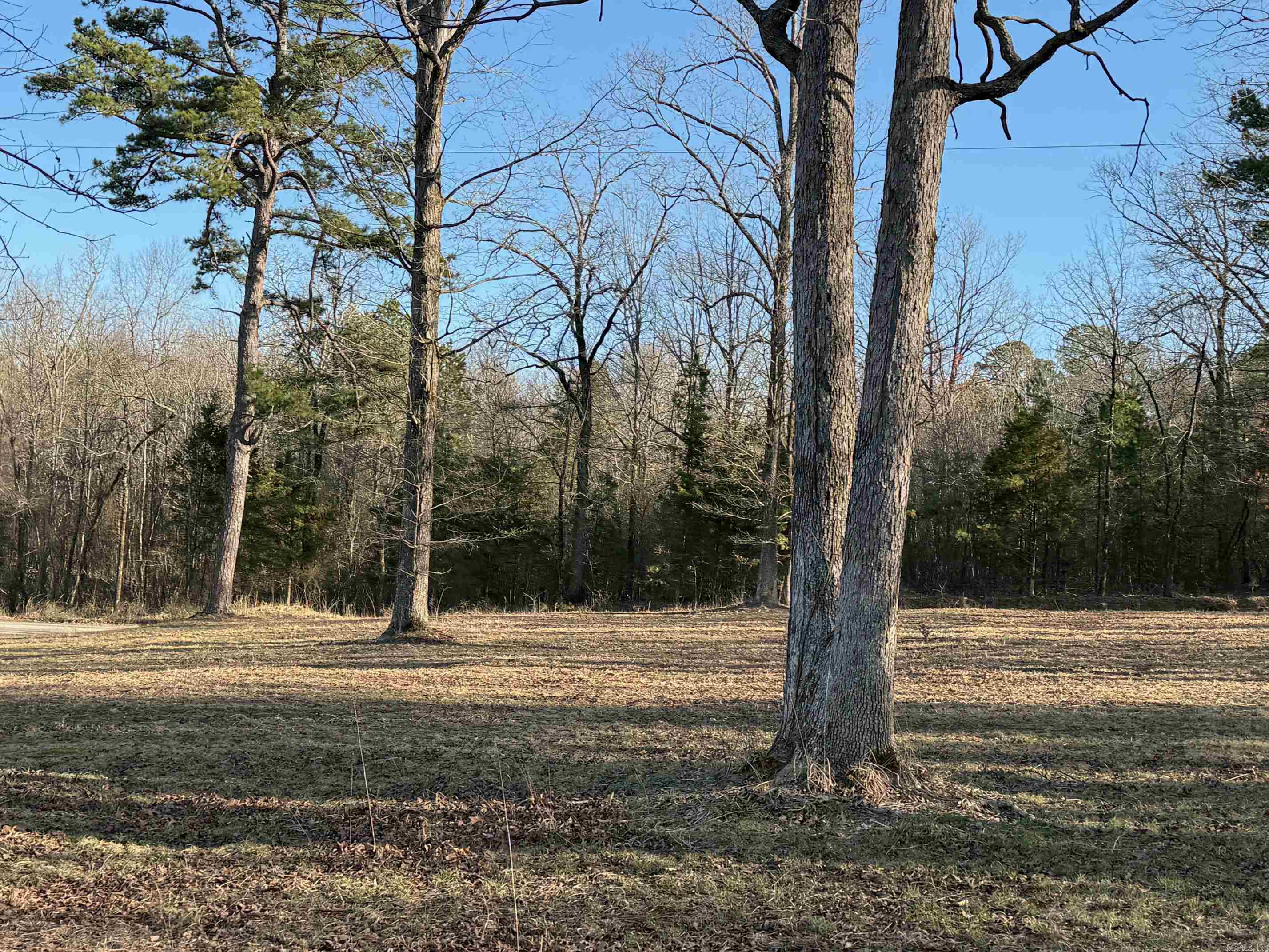 TBD  Polk Road 168 LOT #3 LOT #3 Iron Mountain Estates Mena, AR