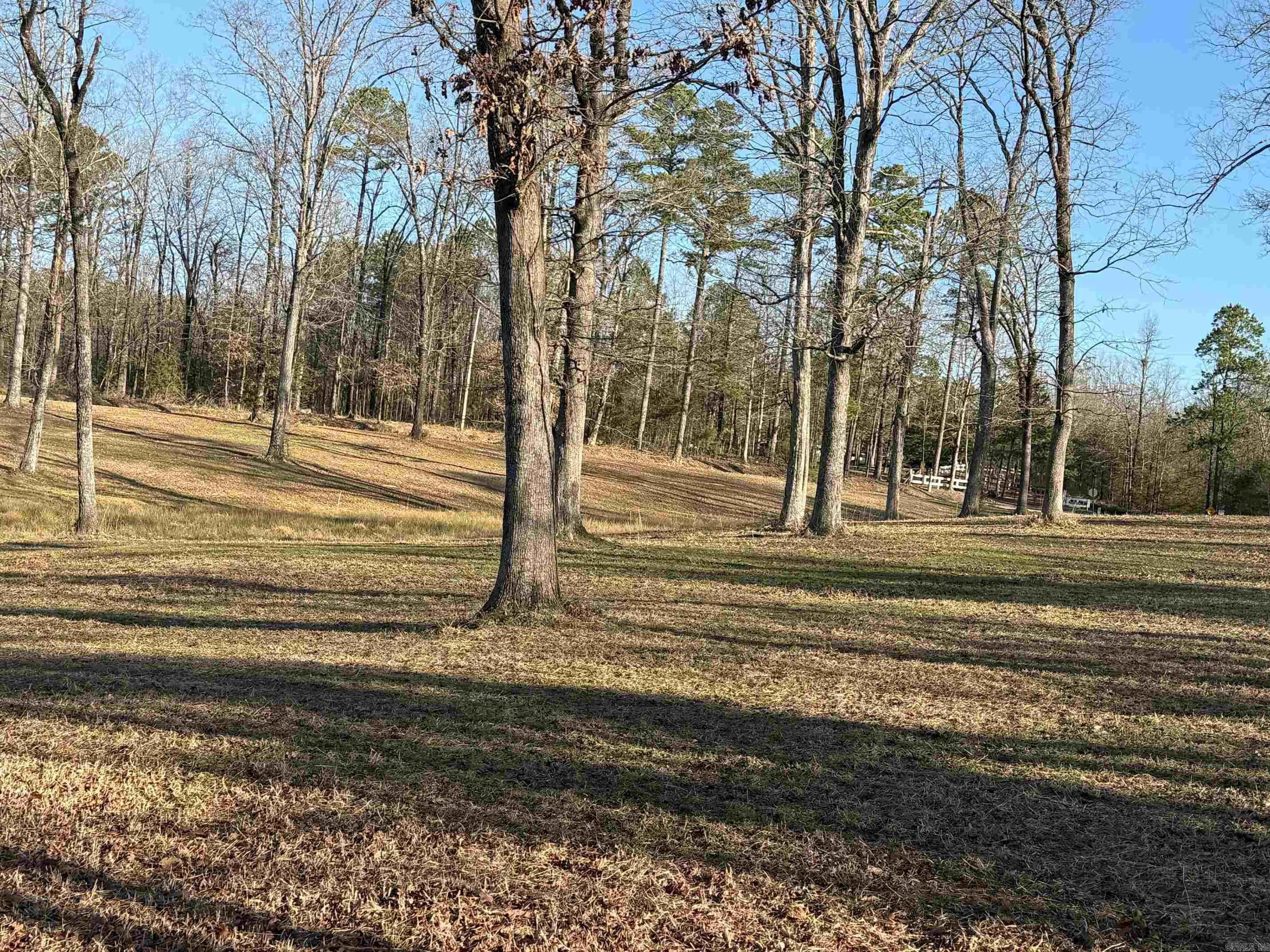 TBD  Polk Road 168 LOT #3 LOT #3 Iron Mountain Estates Mena, AR
