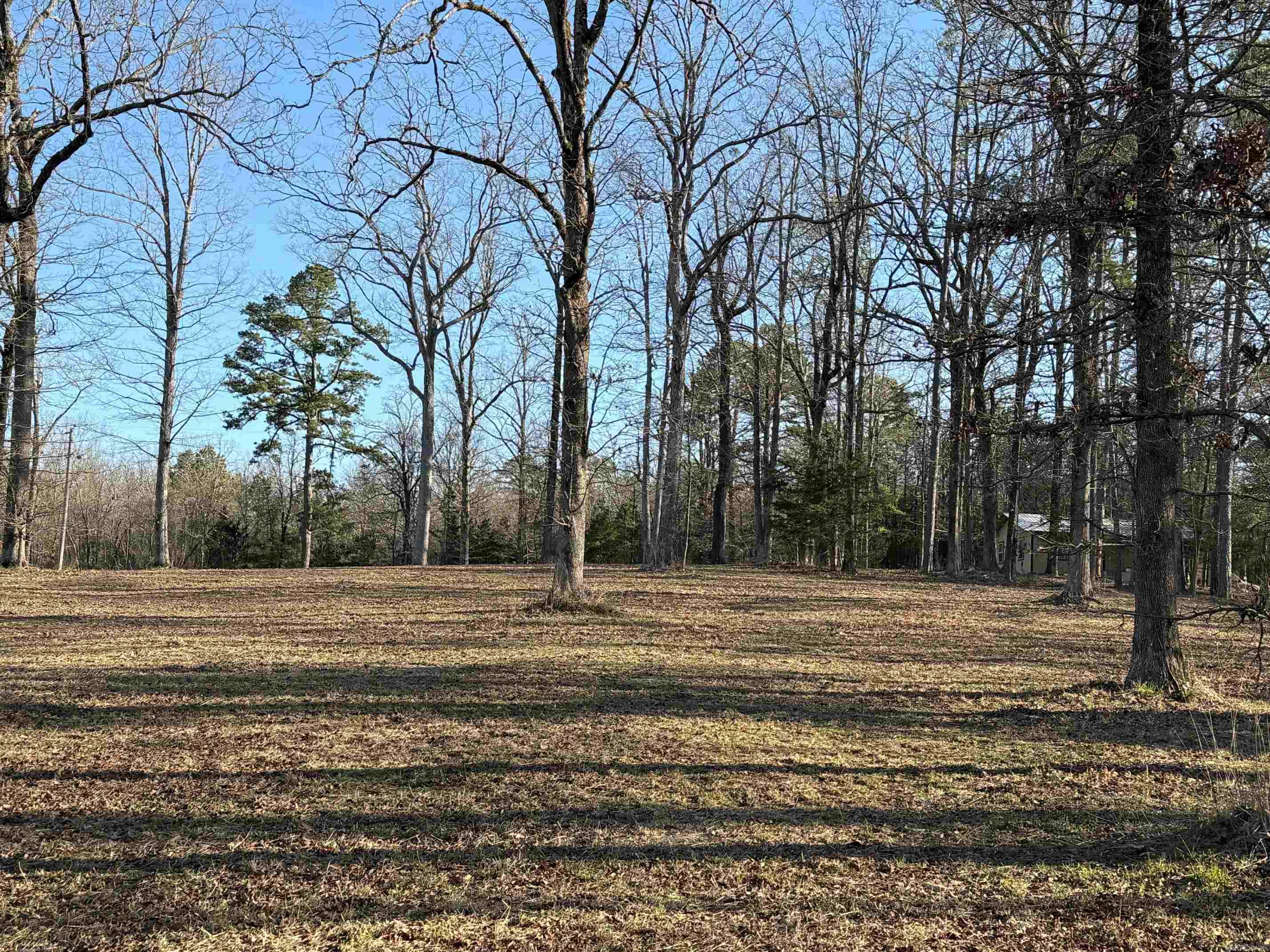 TBD  Polk Road 168 LOT #3 LOT #3 Iron Mountain Estates Mena, AR