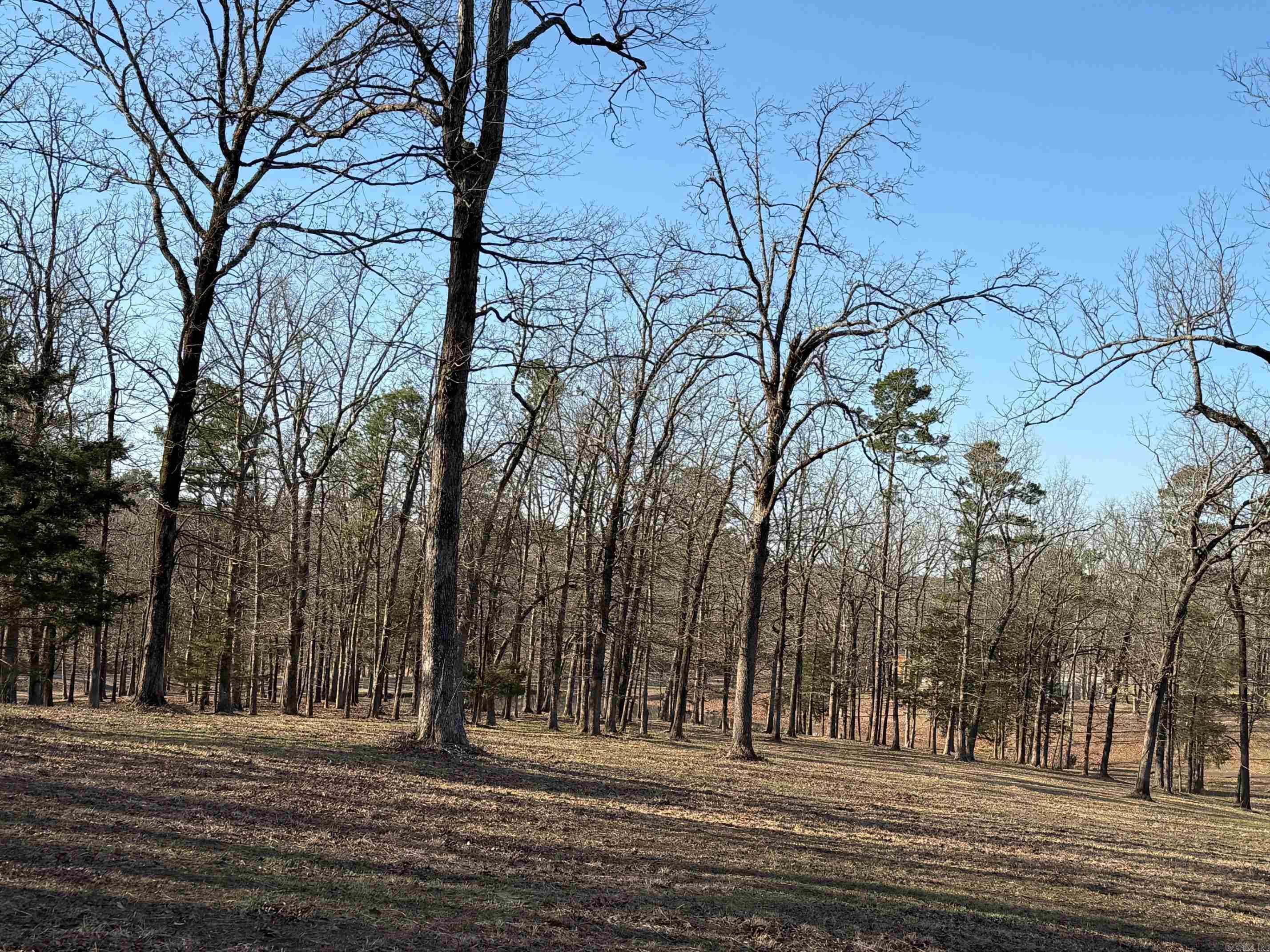 TBD  Polk Road 168 LOT #3 LOT #3 Iron Mountain Estates Mena, AR