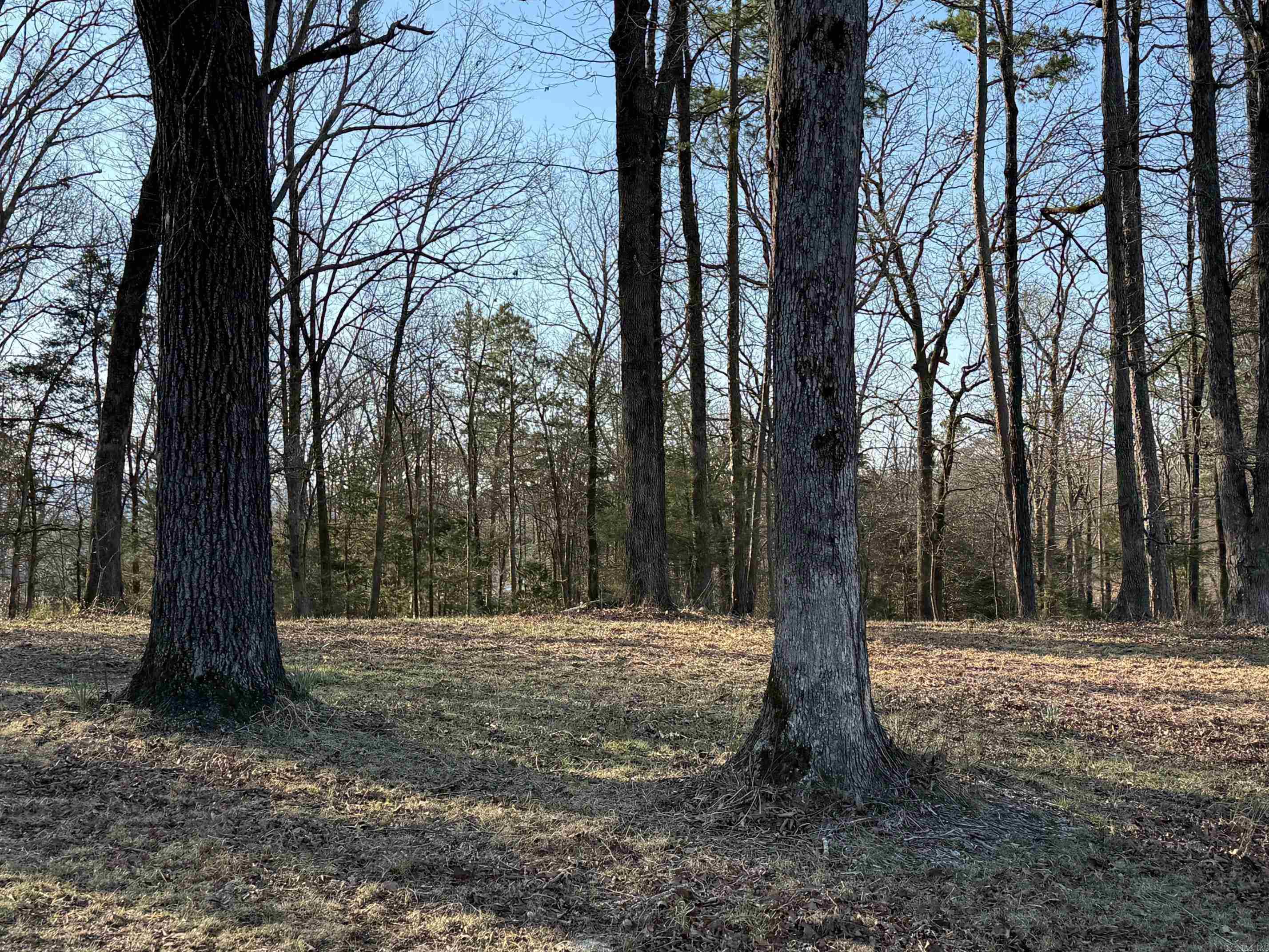TBD  Polk Road 168 LOT #3 LOT #3 Iron Mountain Estates Mena, AR