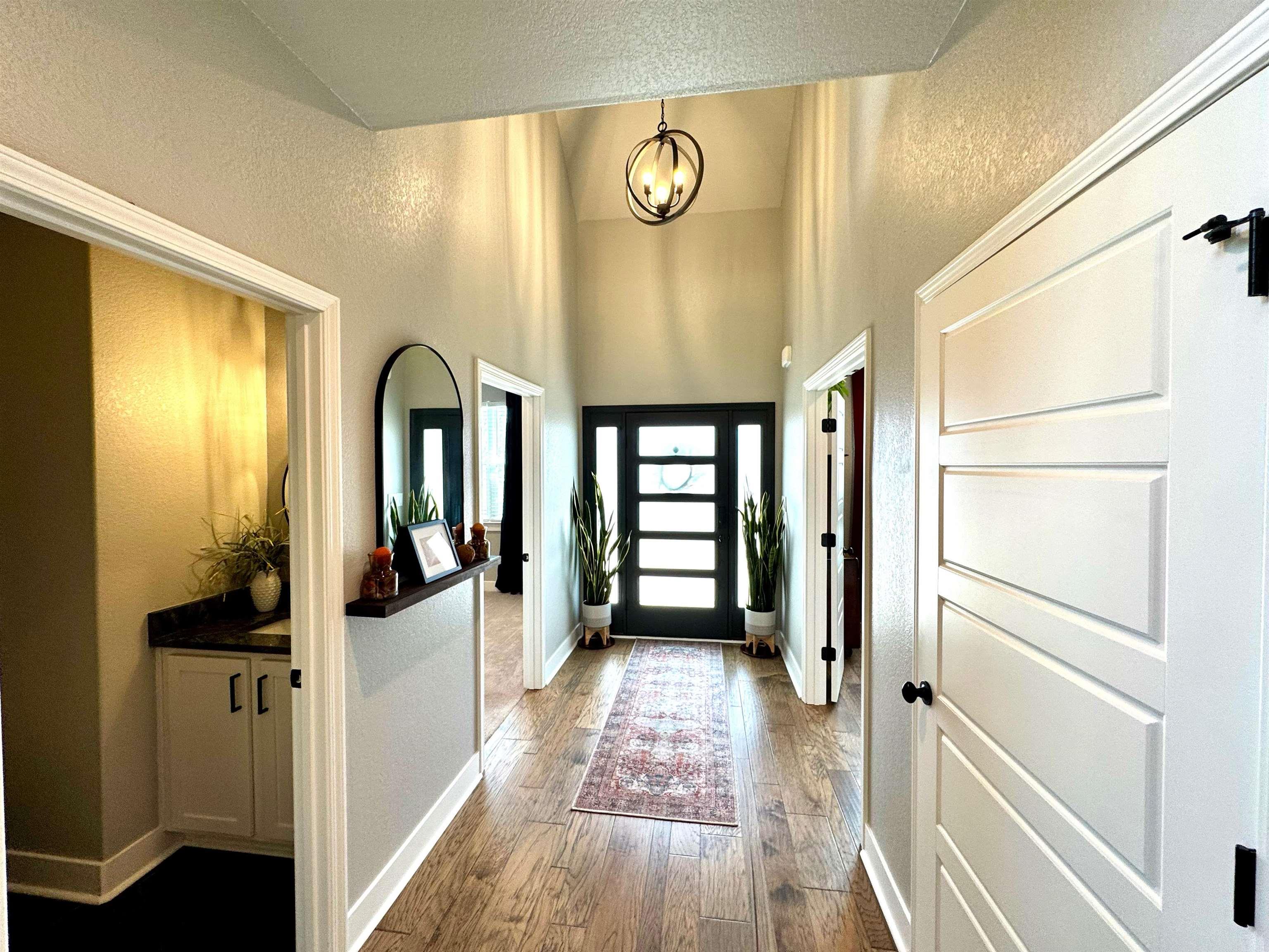 105  Coneflower  Hot Springs, AR