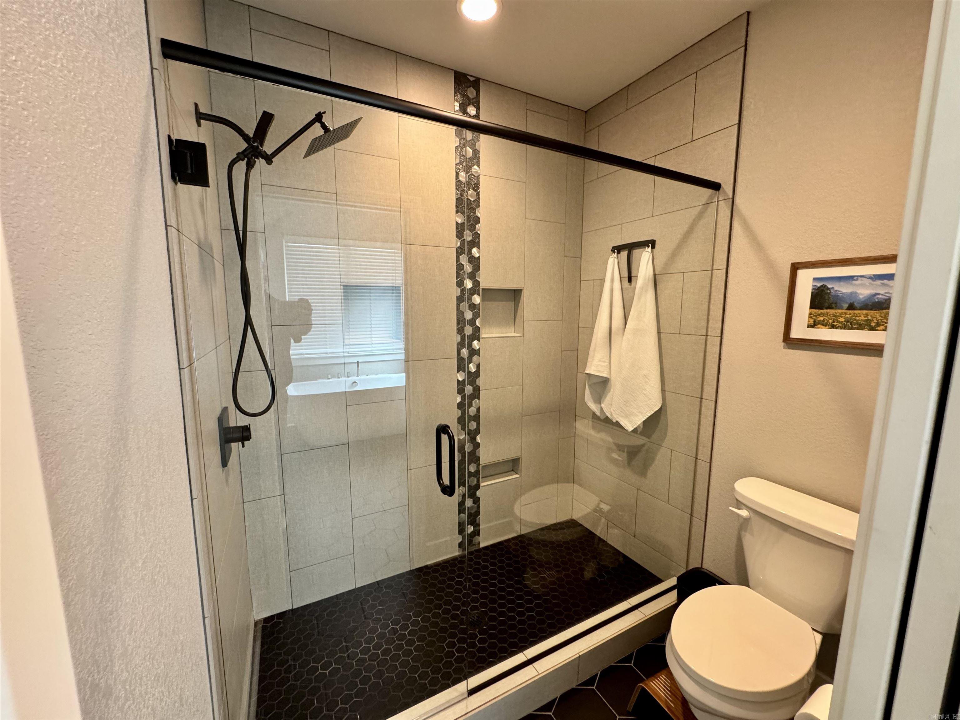 105  Coneflower  Hot Springs, AR
