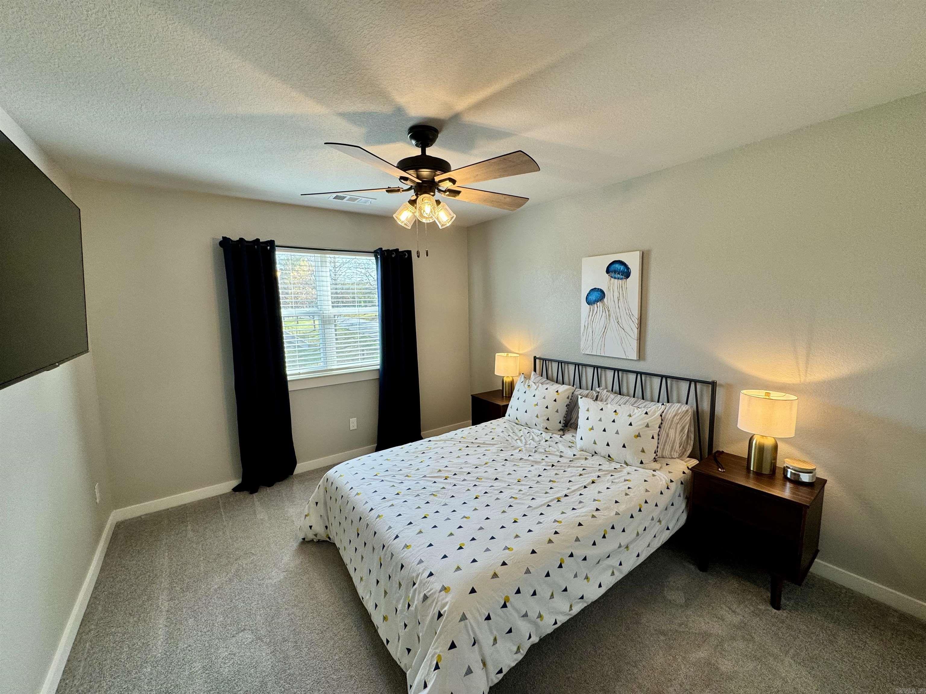 105  Coneflower  Hot Springs, AR