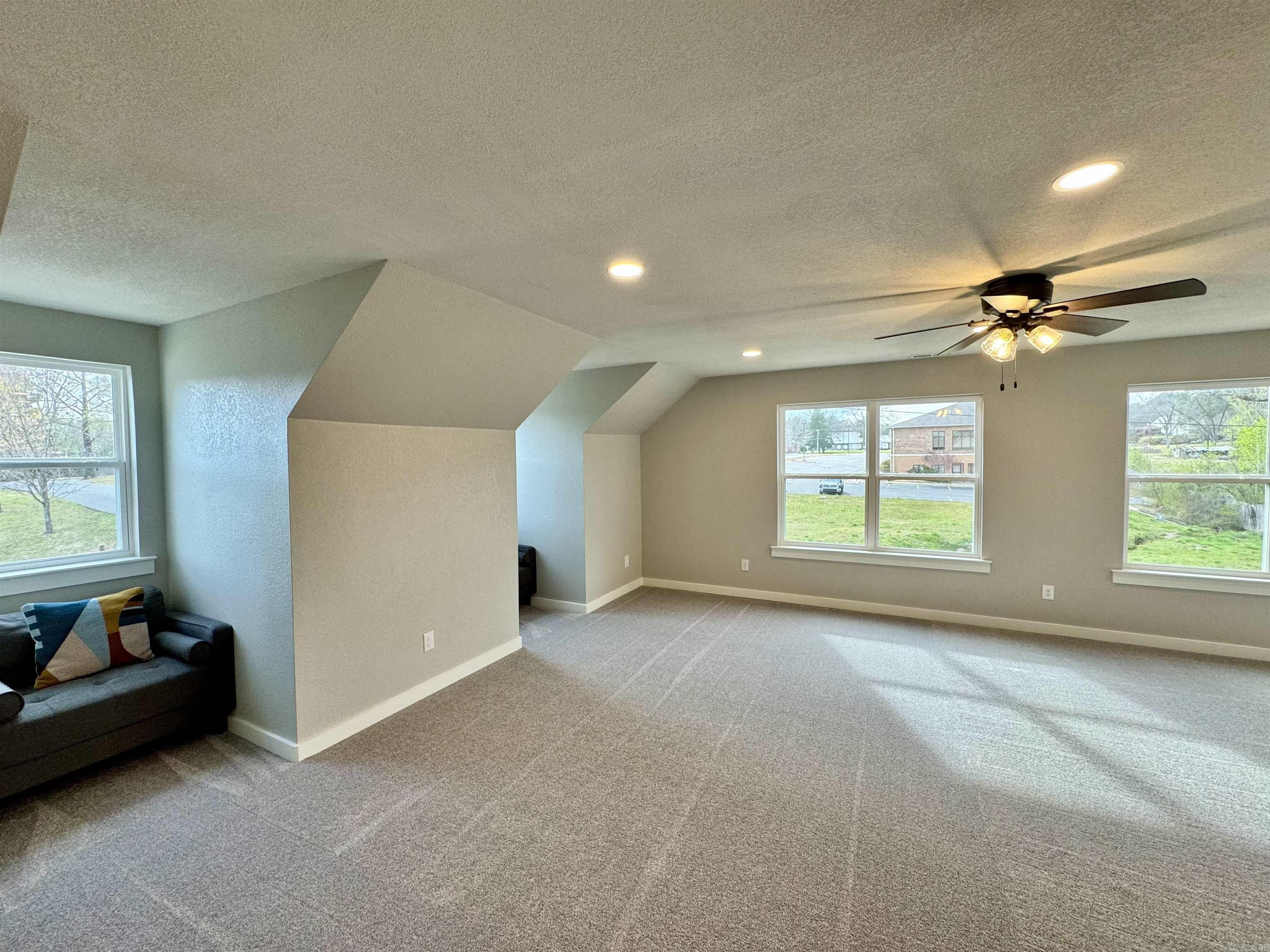 105  Coneflower  Hot Springs, AR