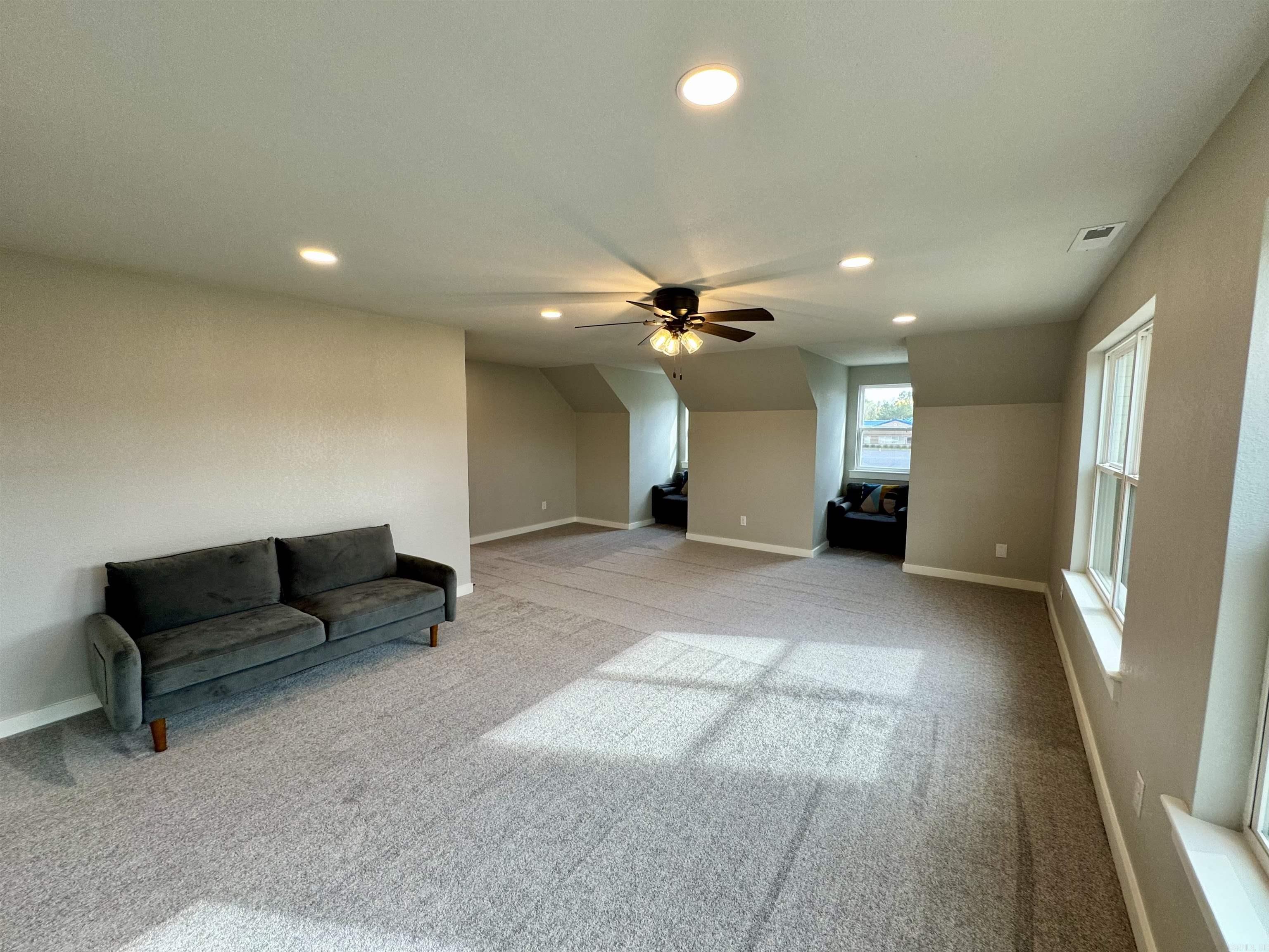 105  Coneflower  Hot Springs, AR