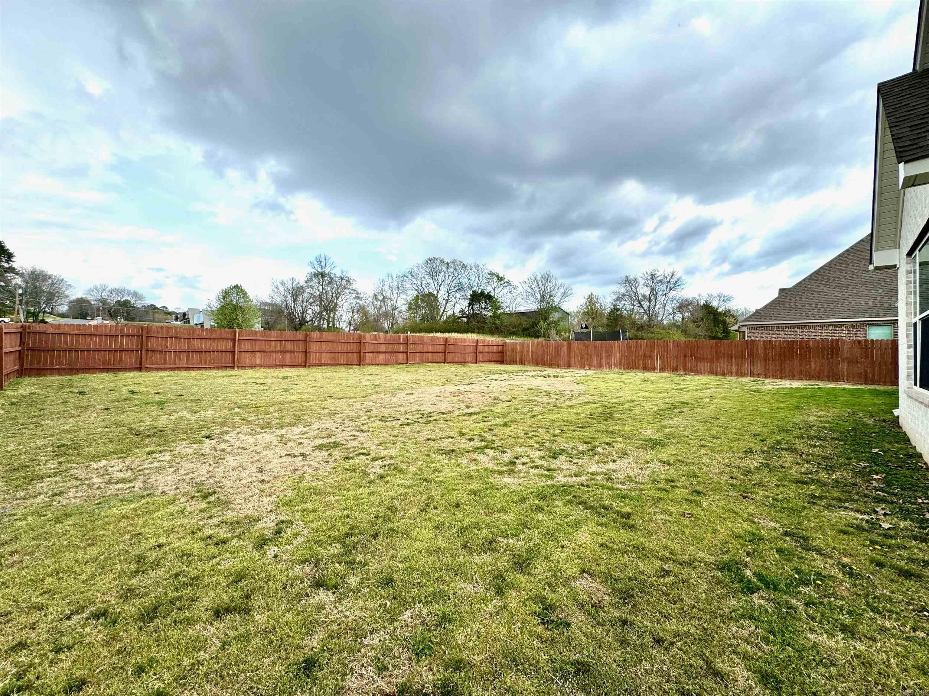 105  Coneflower  Hot Springs, AR