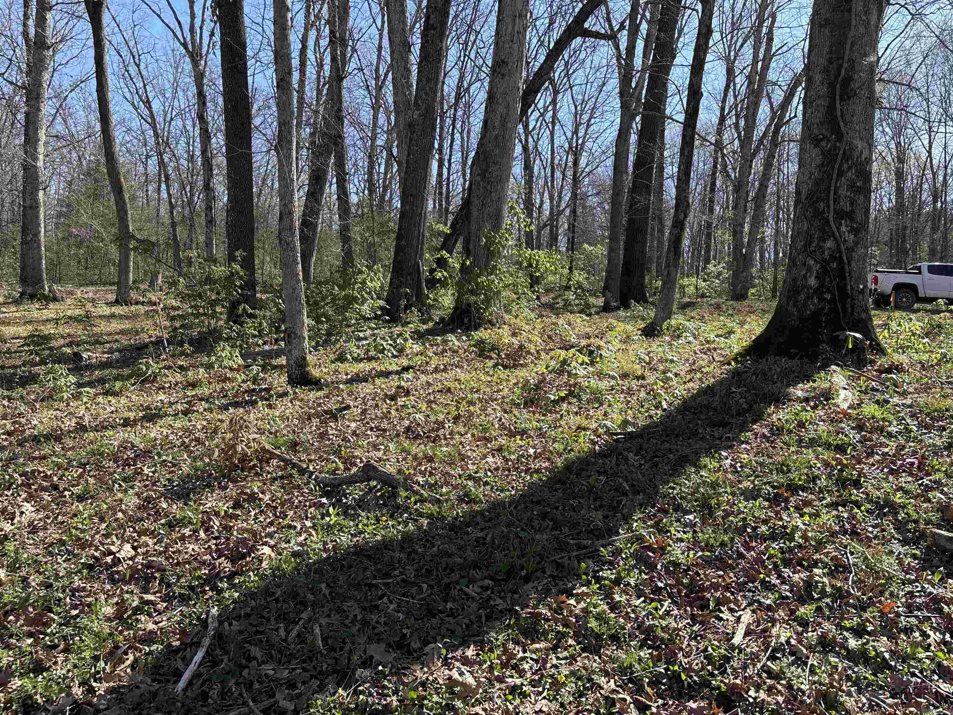 155  Cypress Shoals  Pangburn, AR