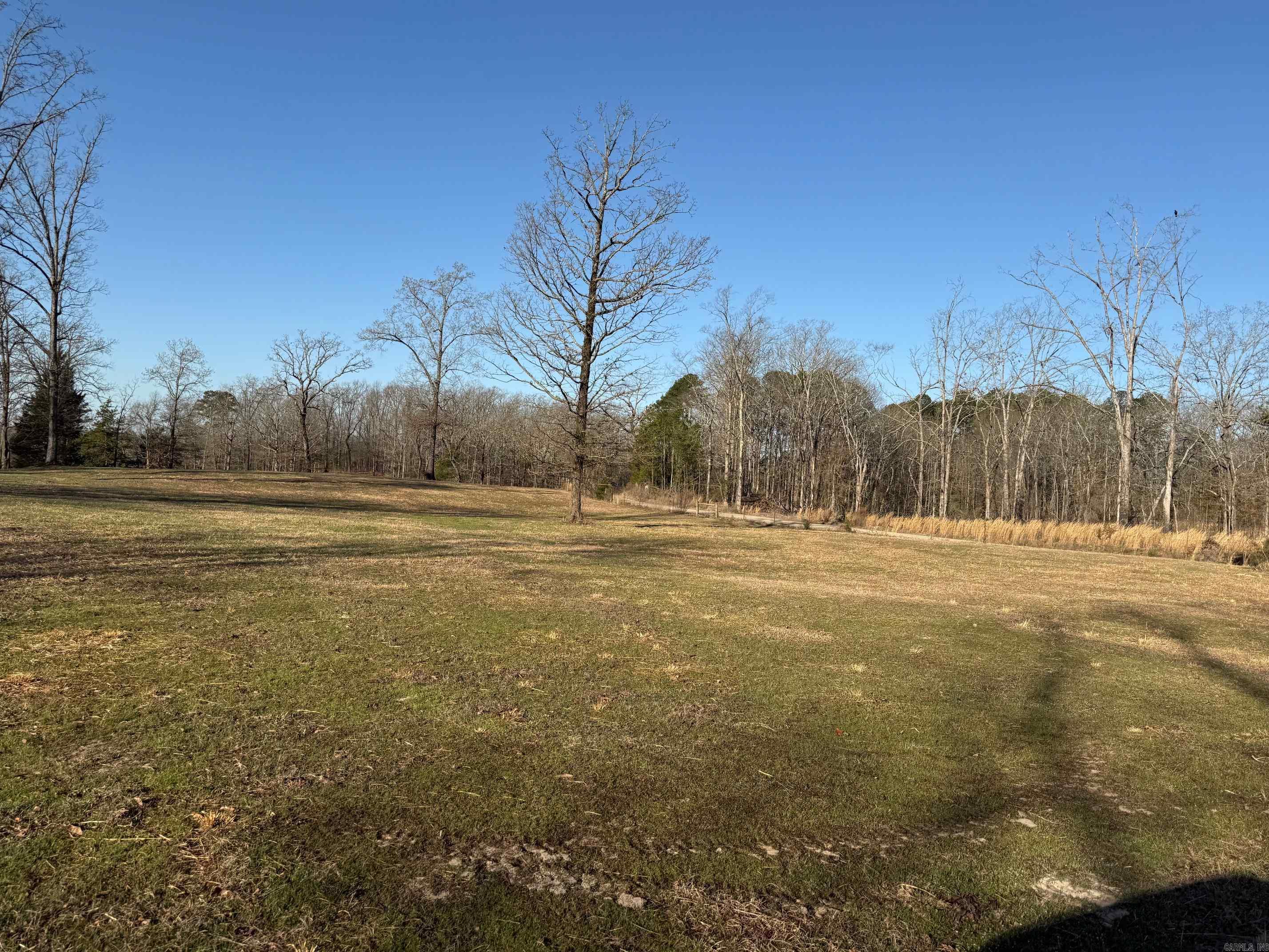 TBD  Polk Road 168 LOT #5 LOT #5 Iron Mountain Mena, AR