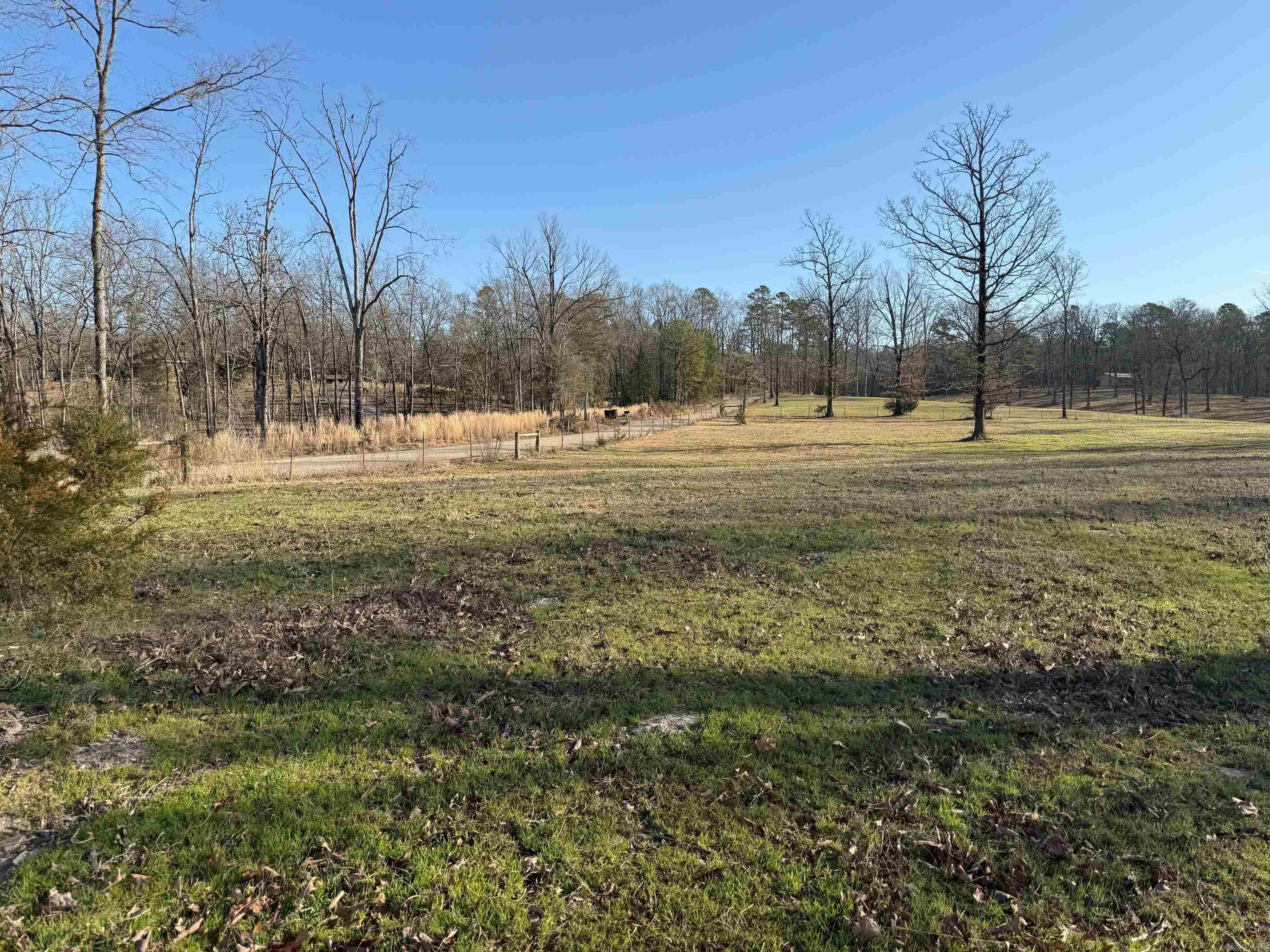 TBD  Polk Road 168 LOT #5 LOT #5 Iron Mountain Mena, AR