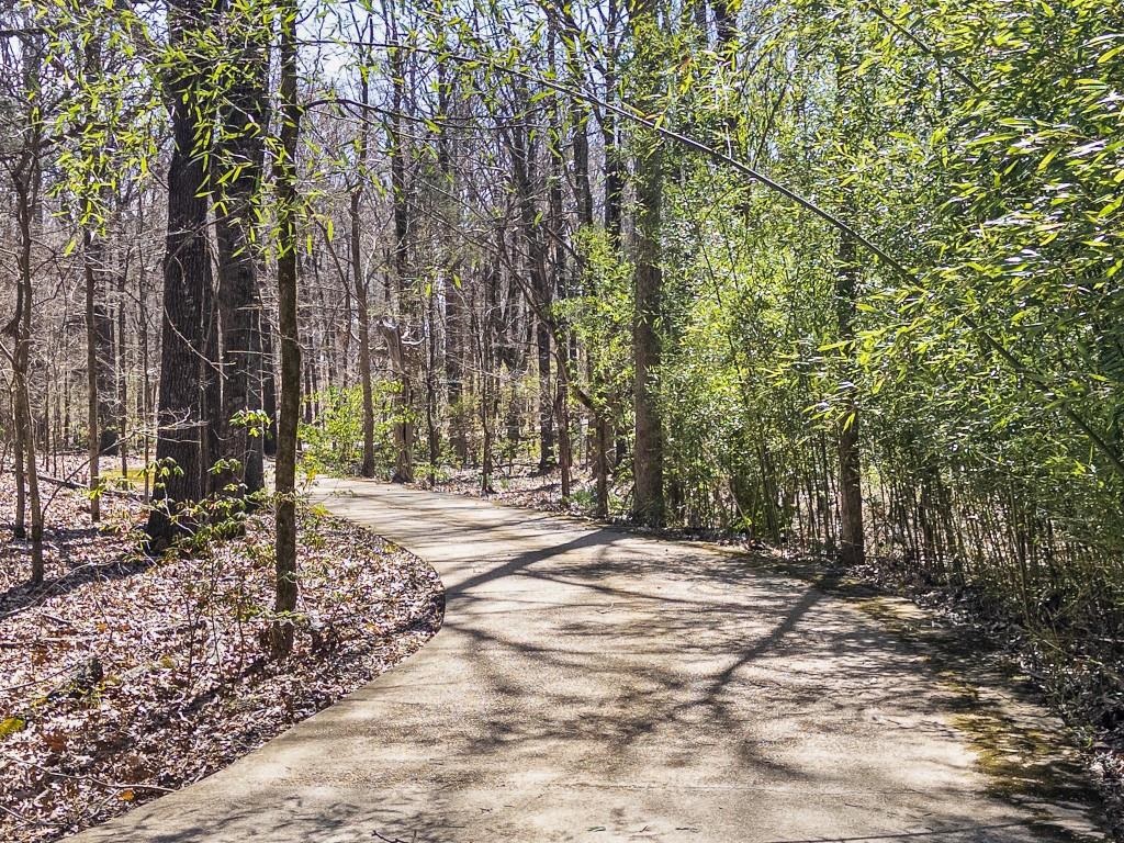 3709  Rachel Cove  Jonesboro, AR