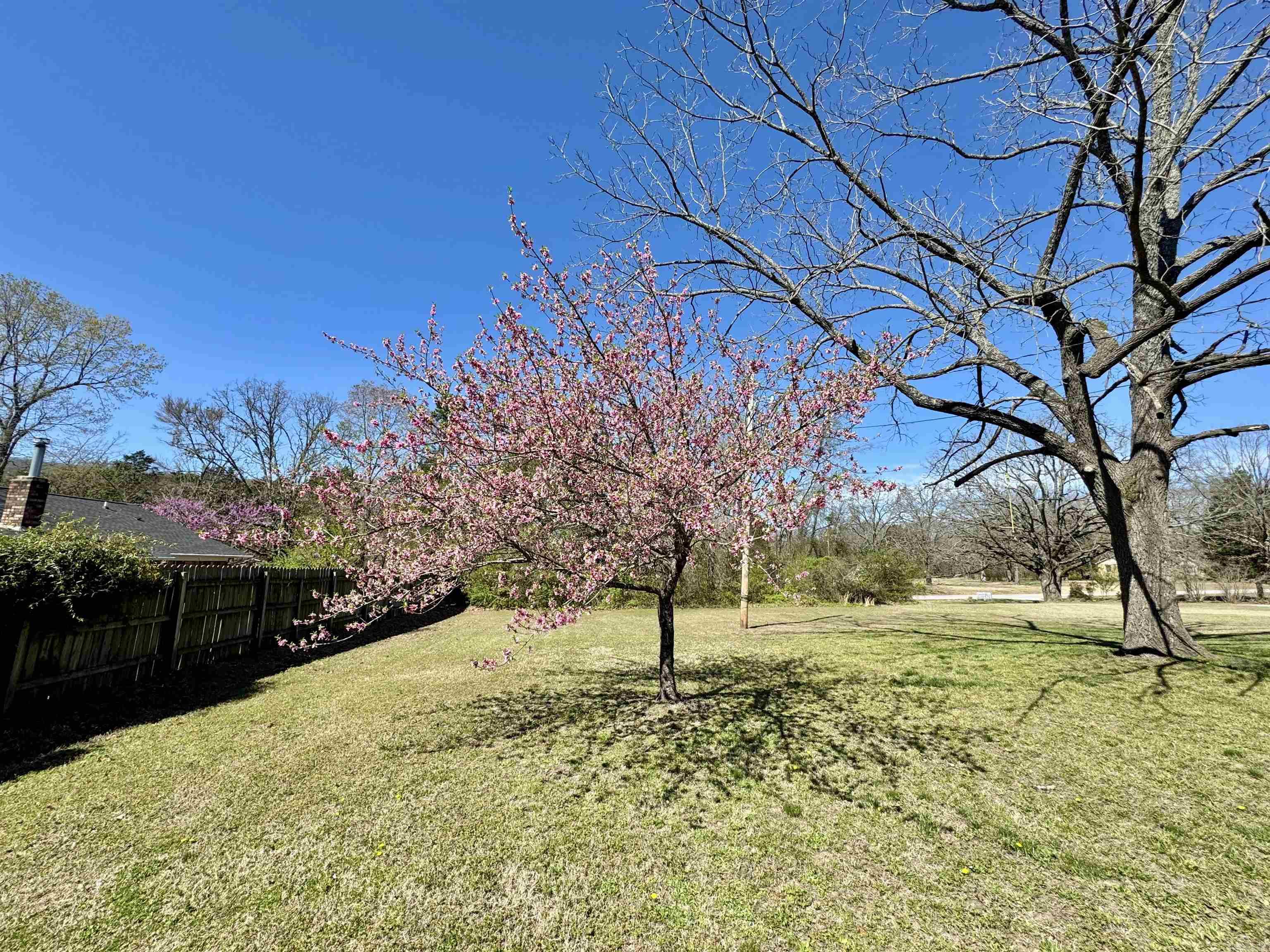 314  S Bayou Dr.  Mountain View, AR
