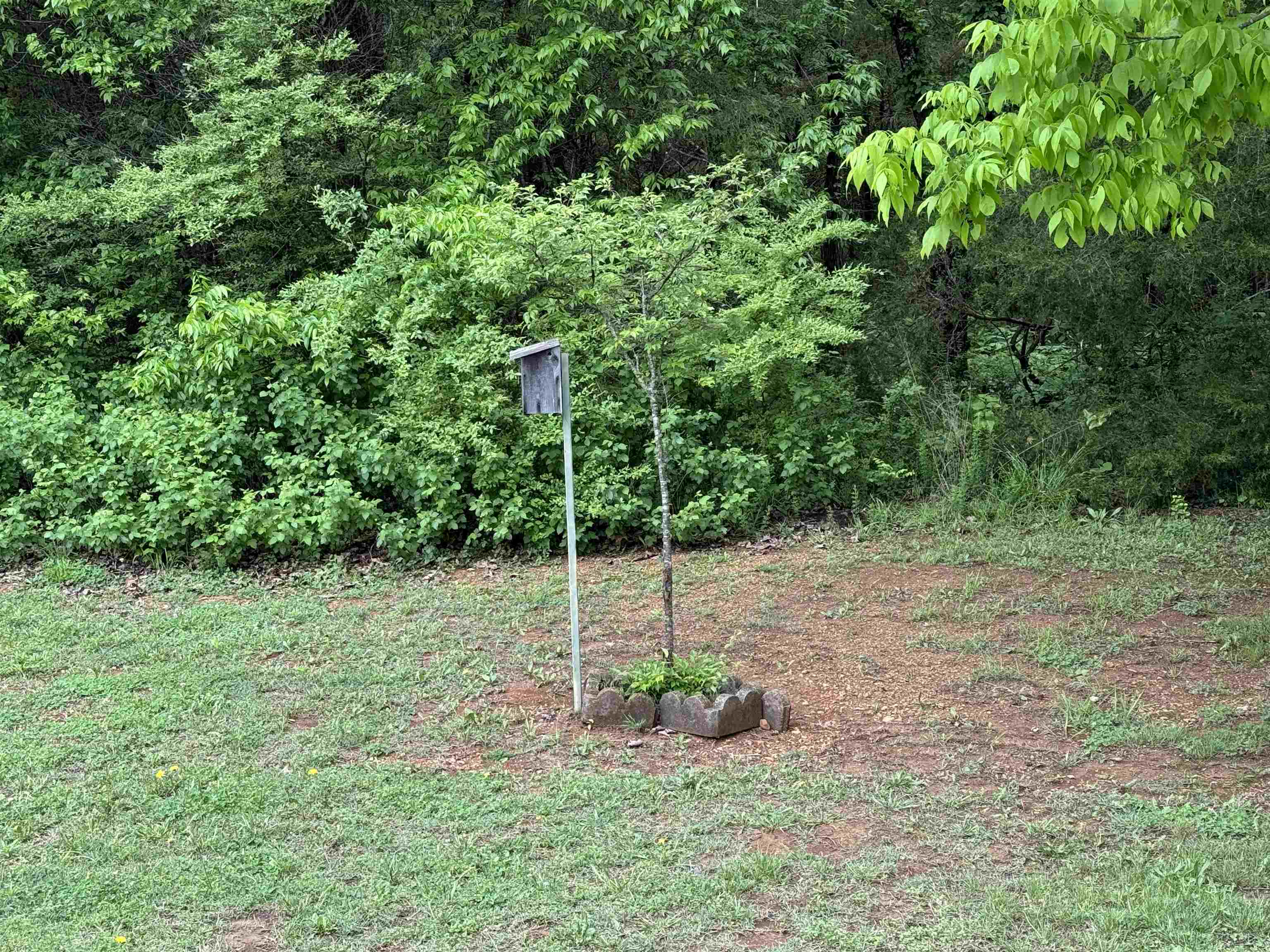 10  Spring River  Cherokee Village, AR