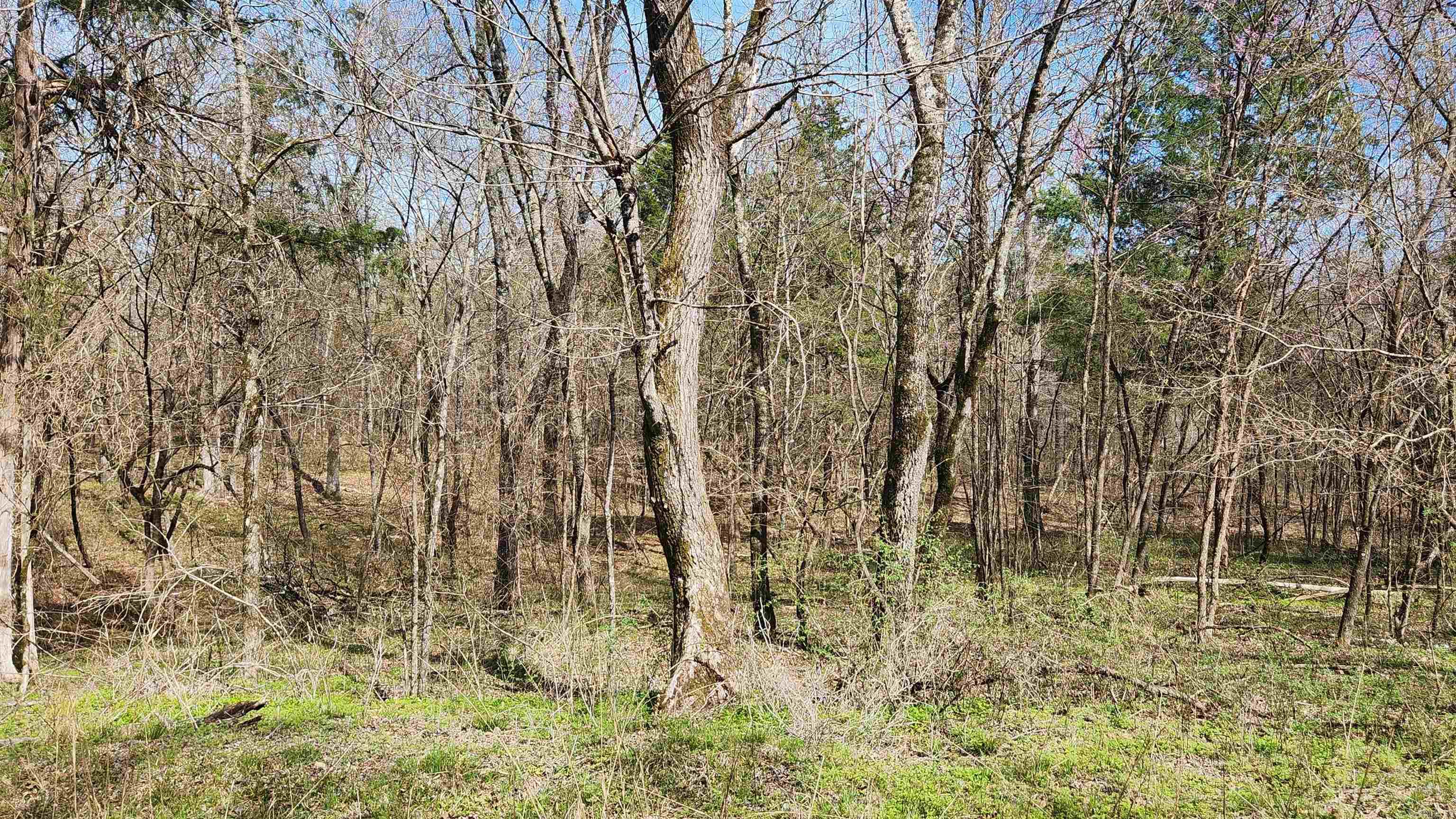 TBD  Markerville Road  Story, AR