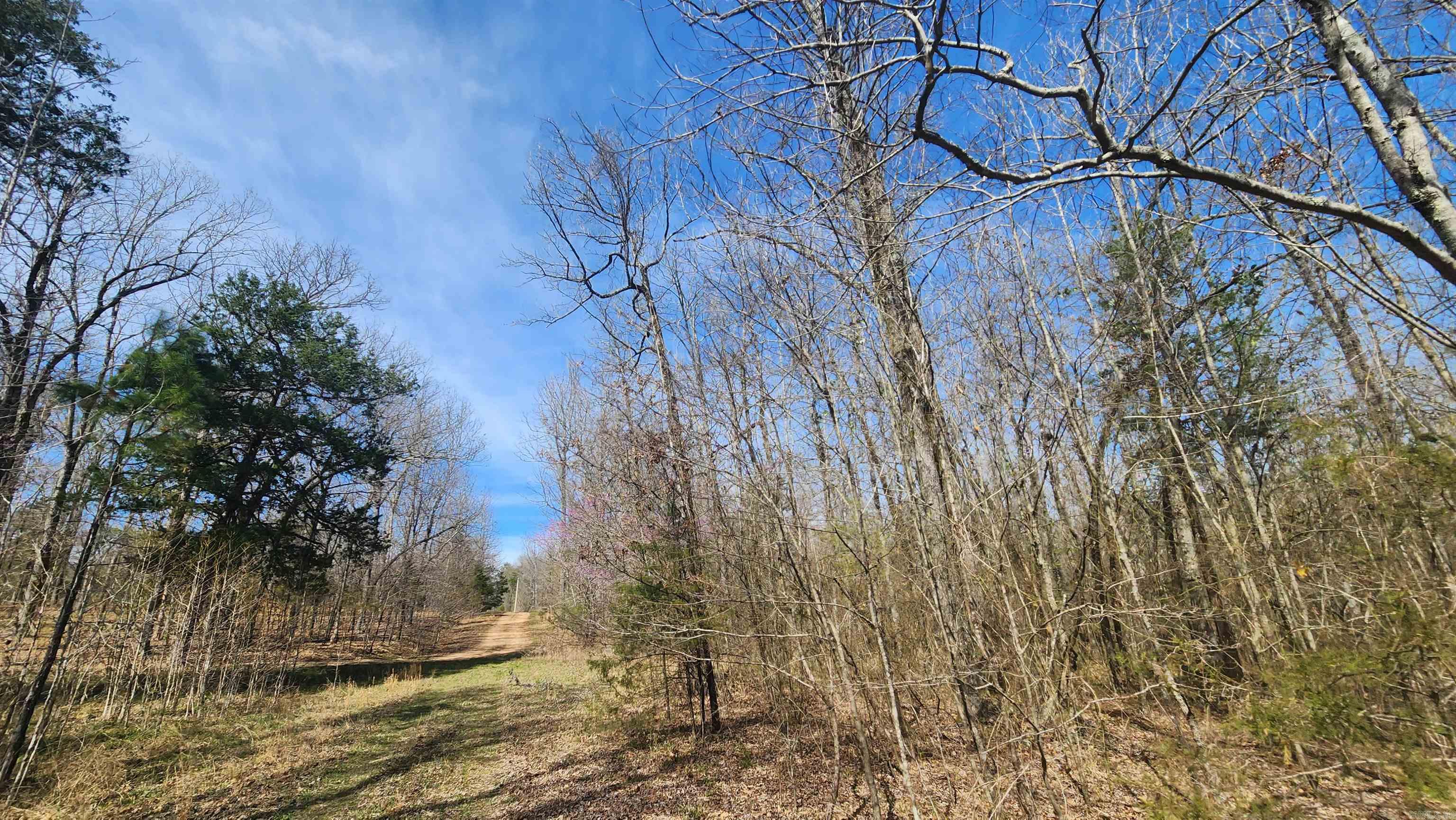 TBD  Markerville Road  Story, AR