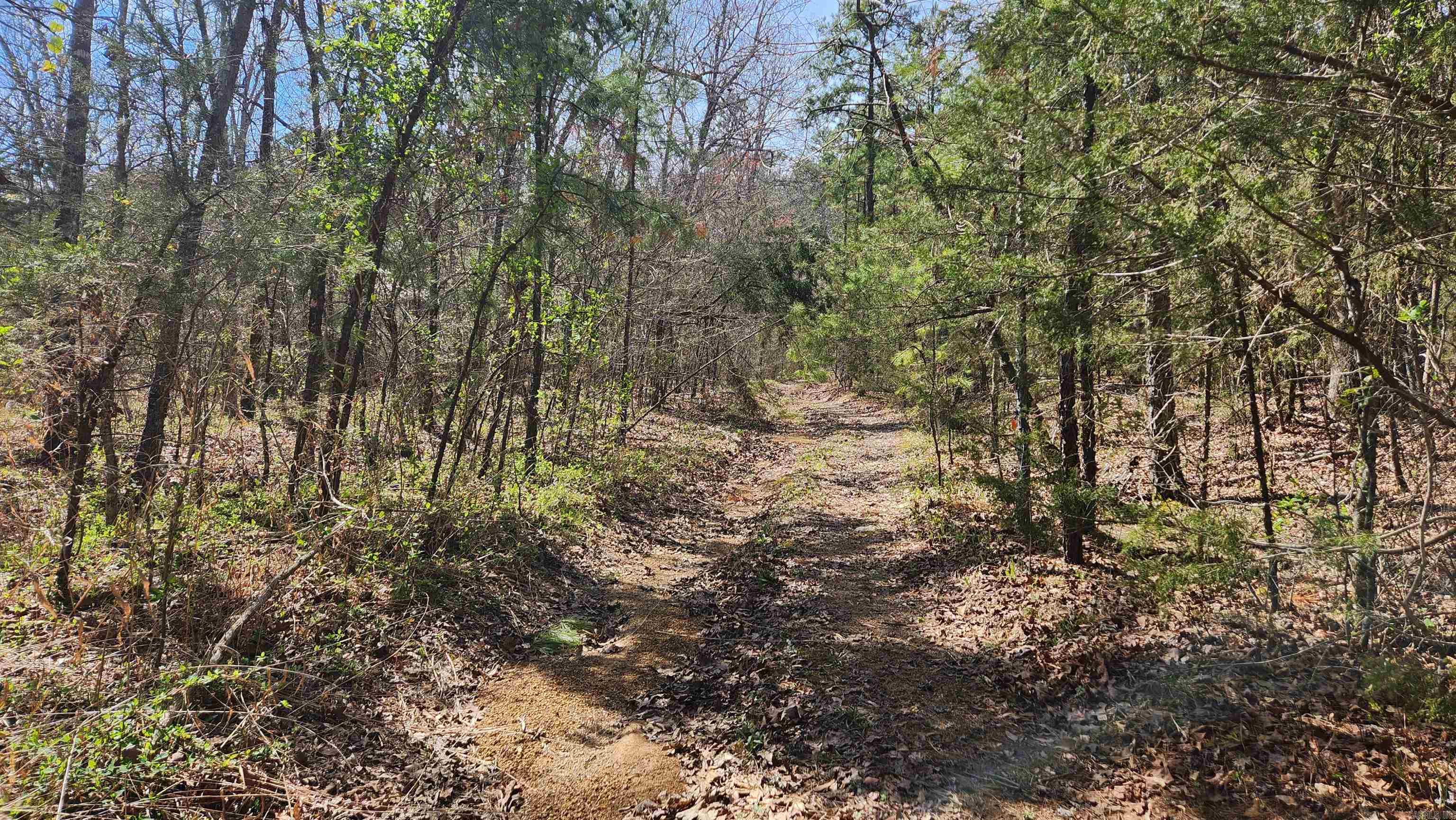 TBD  Markerville Road  Story, AR