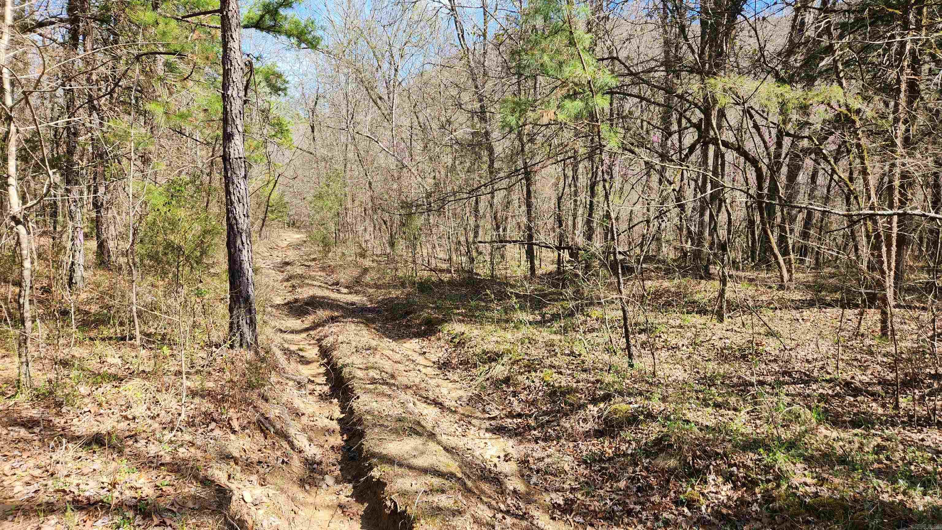 TBD  Markerville Road  Story, AR