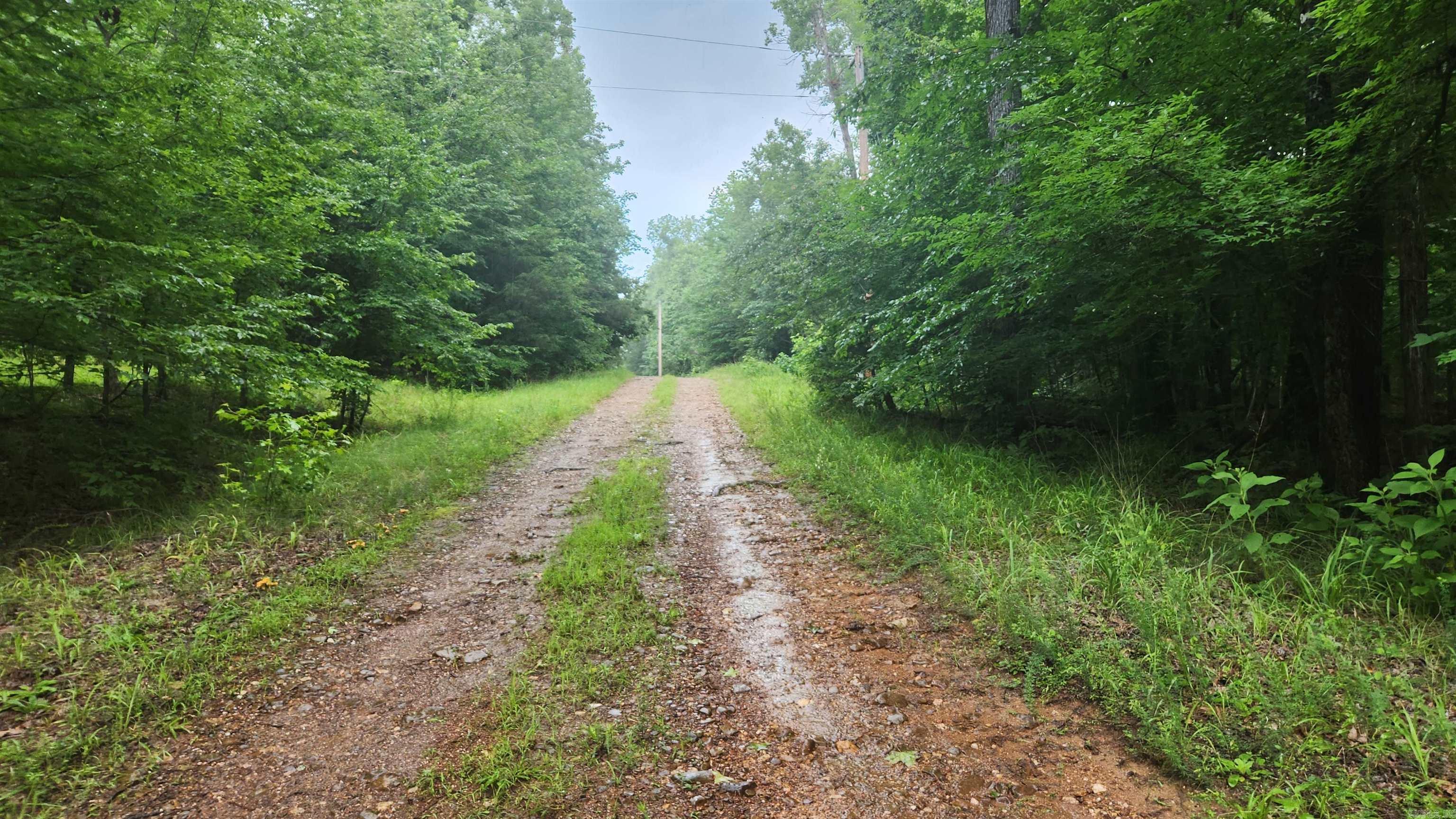 TBD Markerville Road  Story, AR