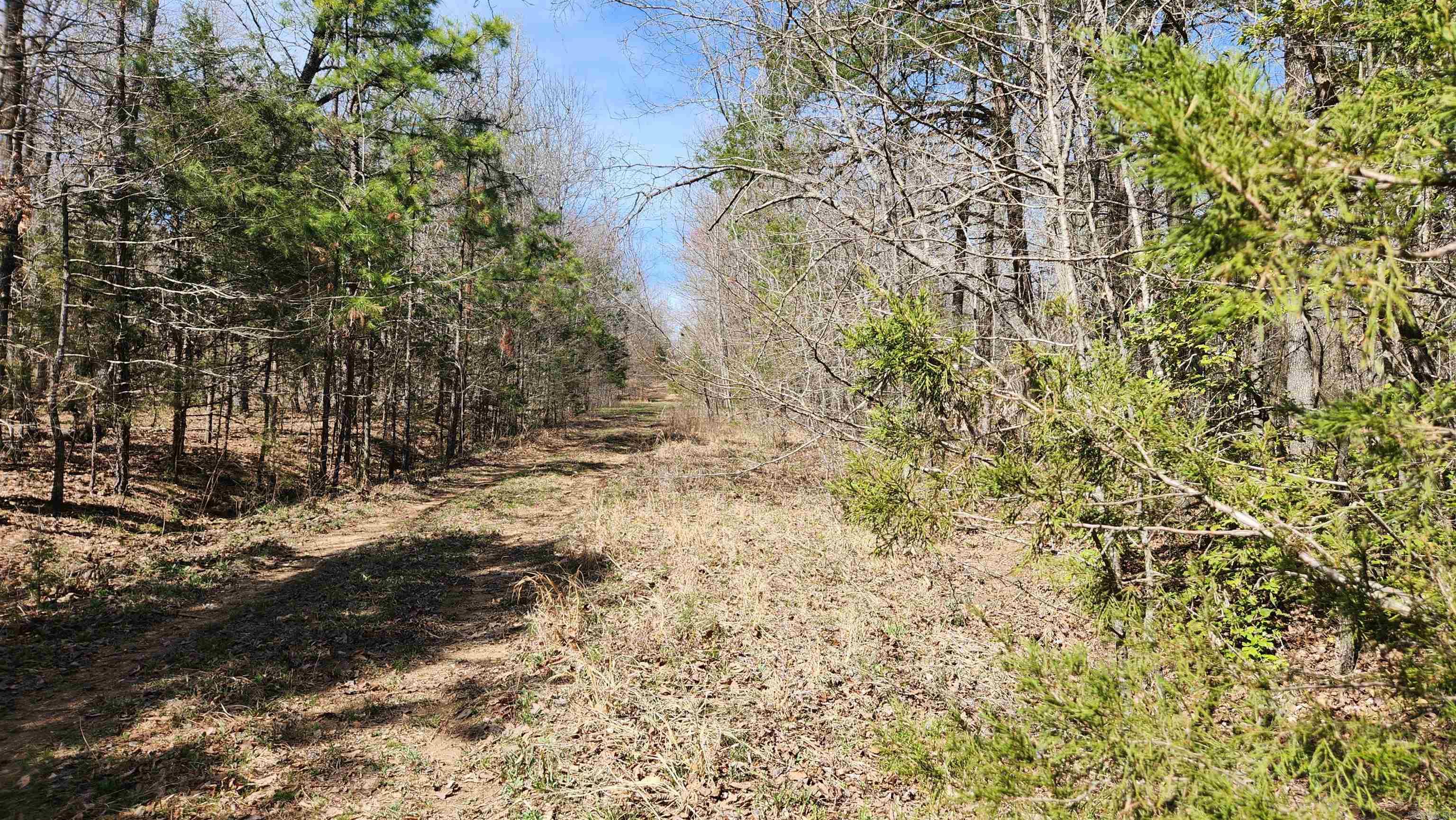 TBD  Markerville Road  Story, AR
