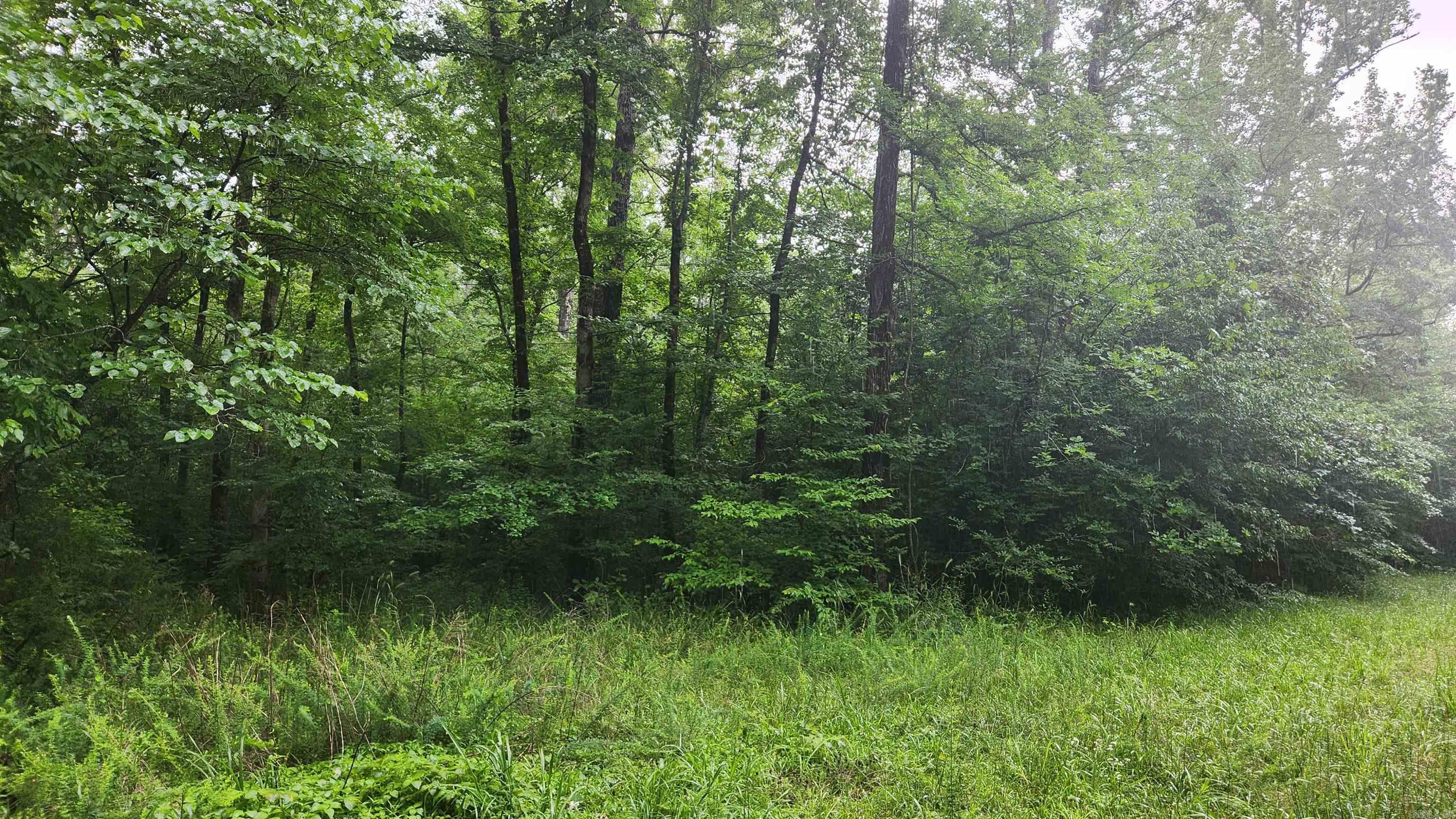 TBD Markerville Road  Story, AR
