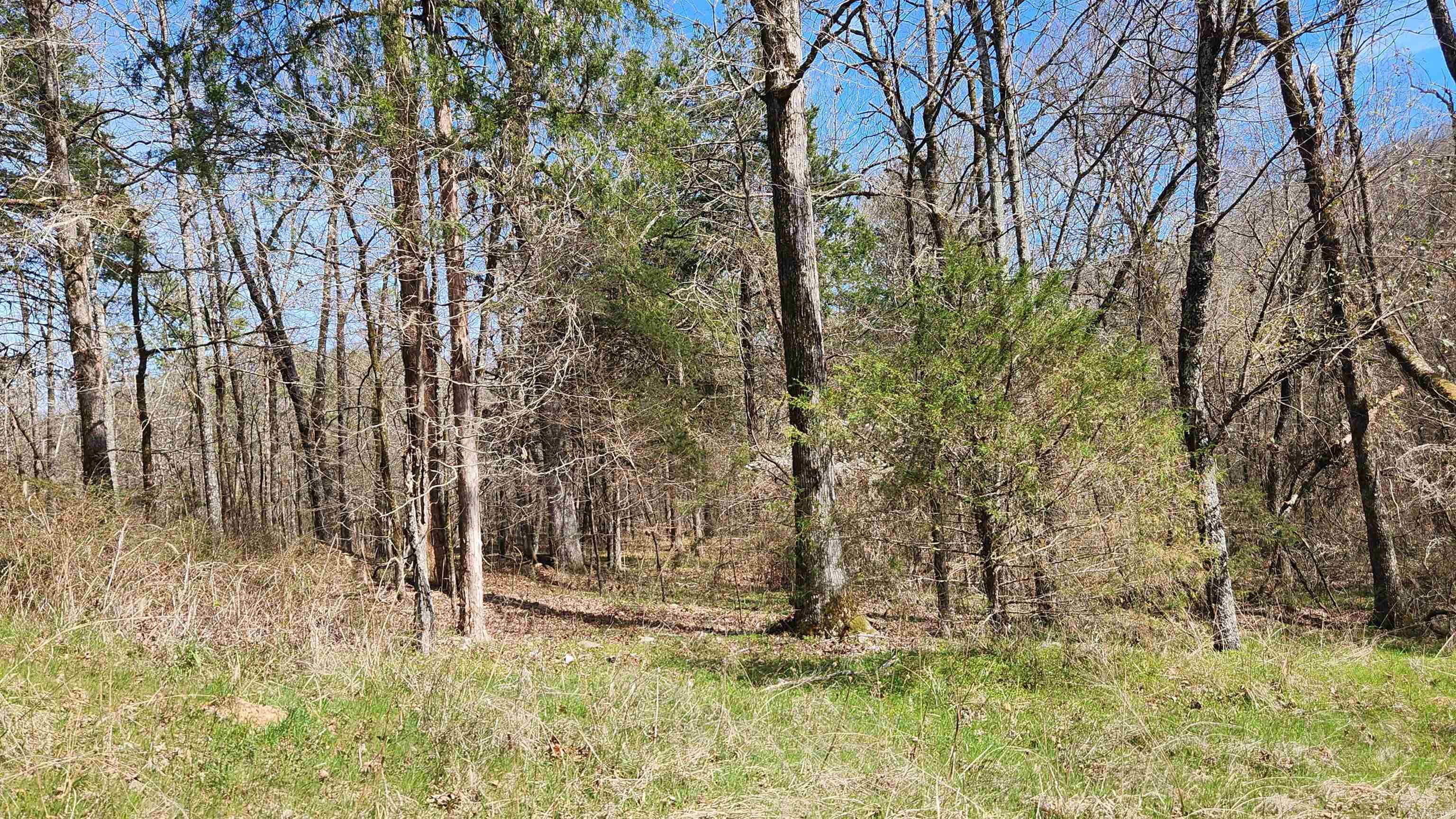 TBD  Markerville Road  Story, AR