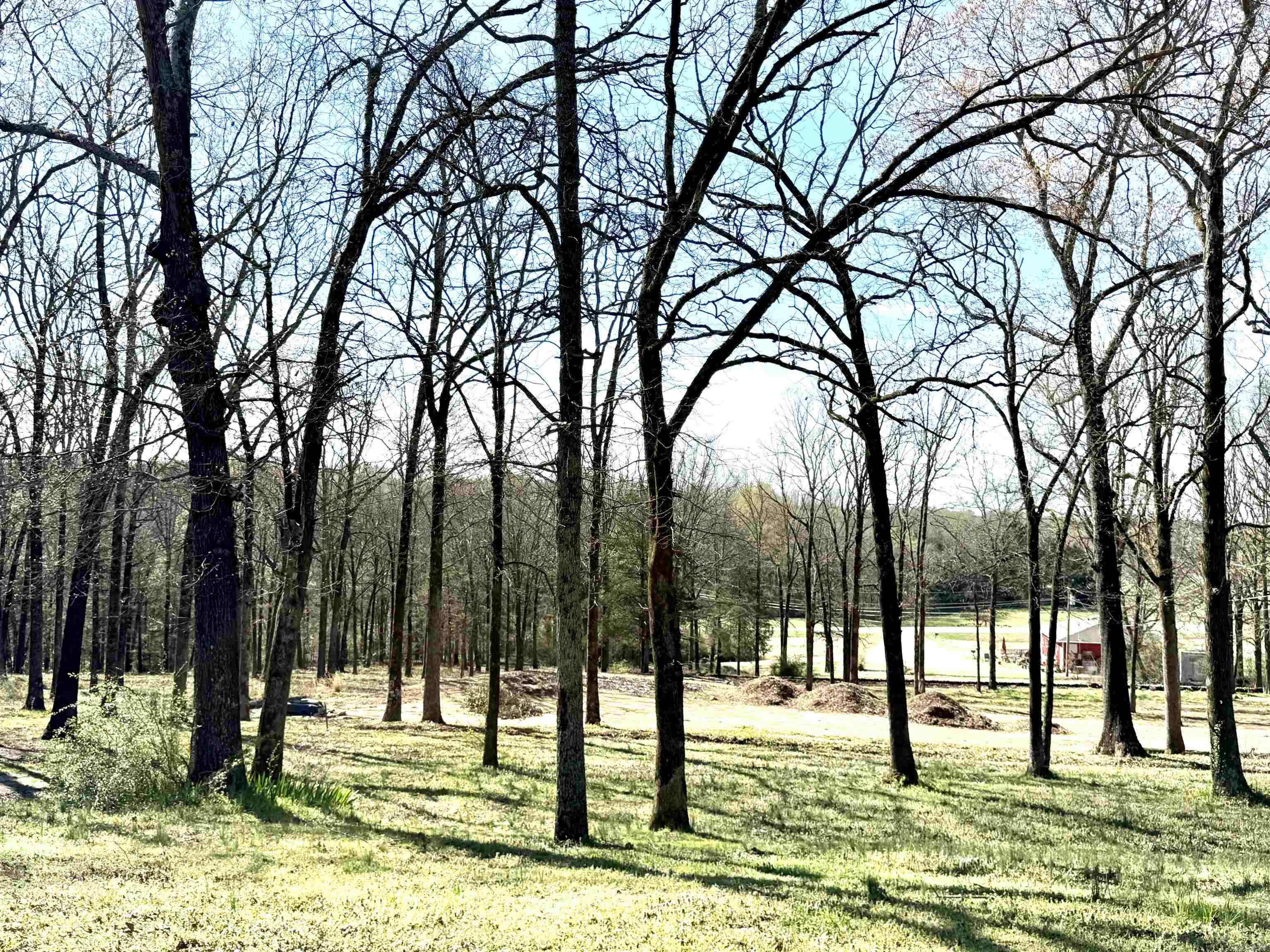 128  Berry  Searcy, AR