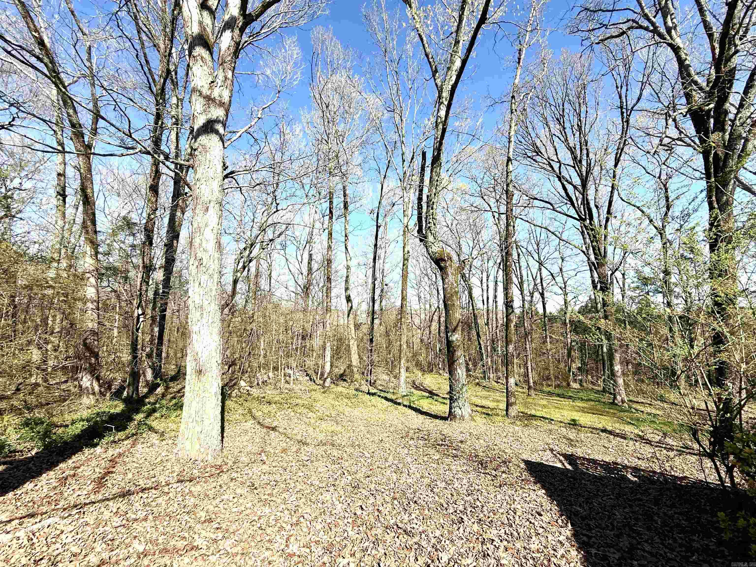128  Berry  Searcy, AR