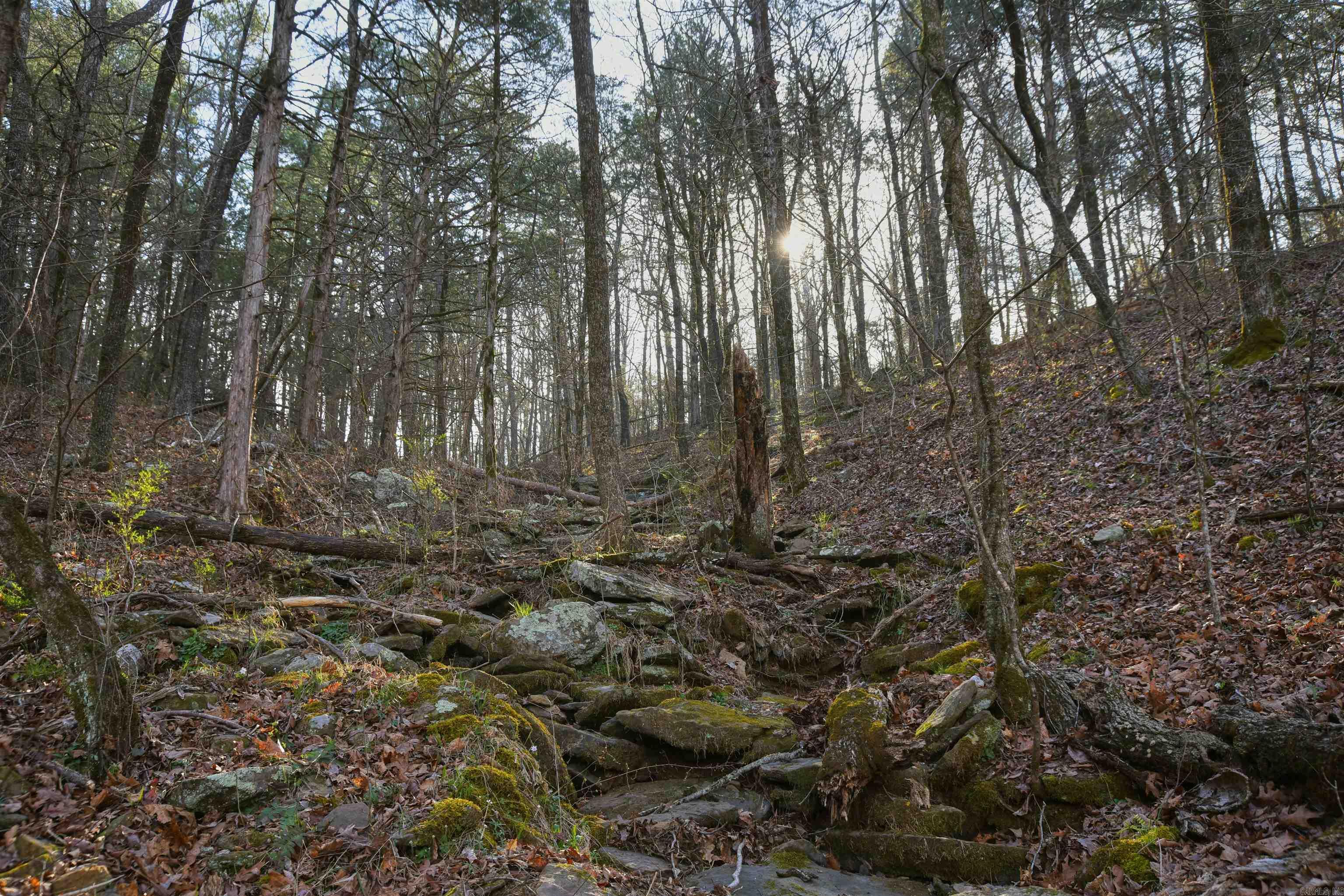 7.5 acres Mountain Meadows Road