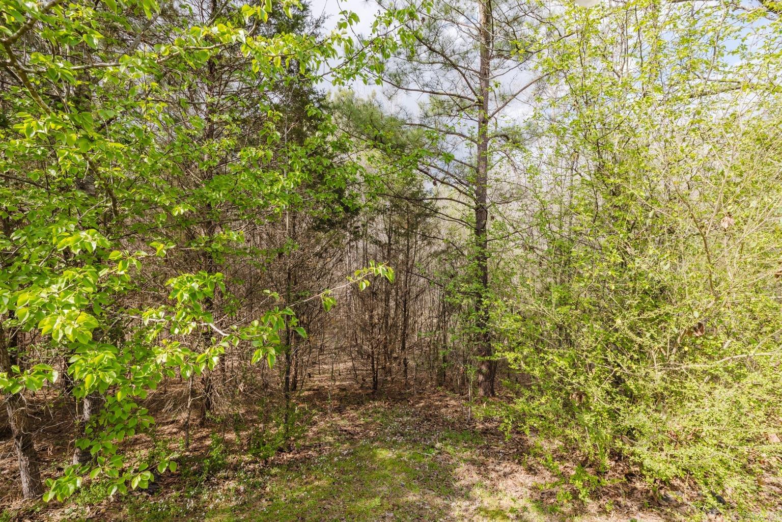 420  Coachlight  Hot Springs, AR