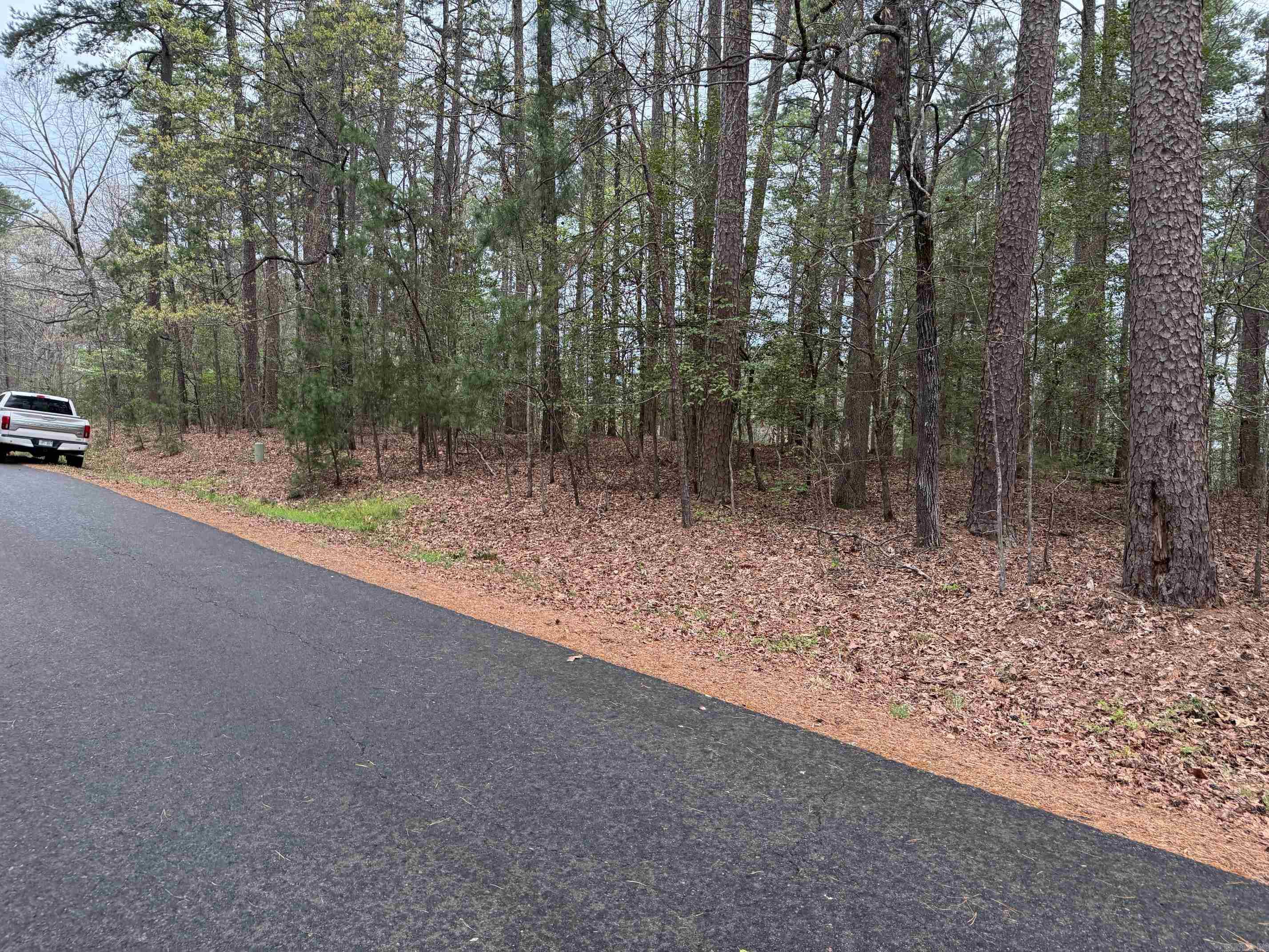 51  ZARPA WAY  Hot Springs Village, AR