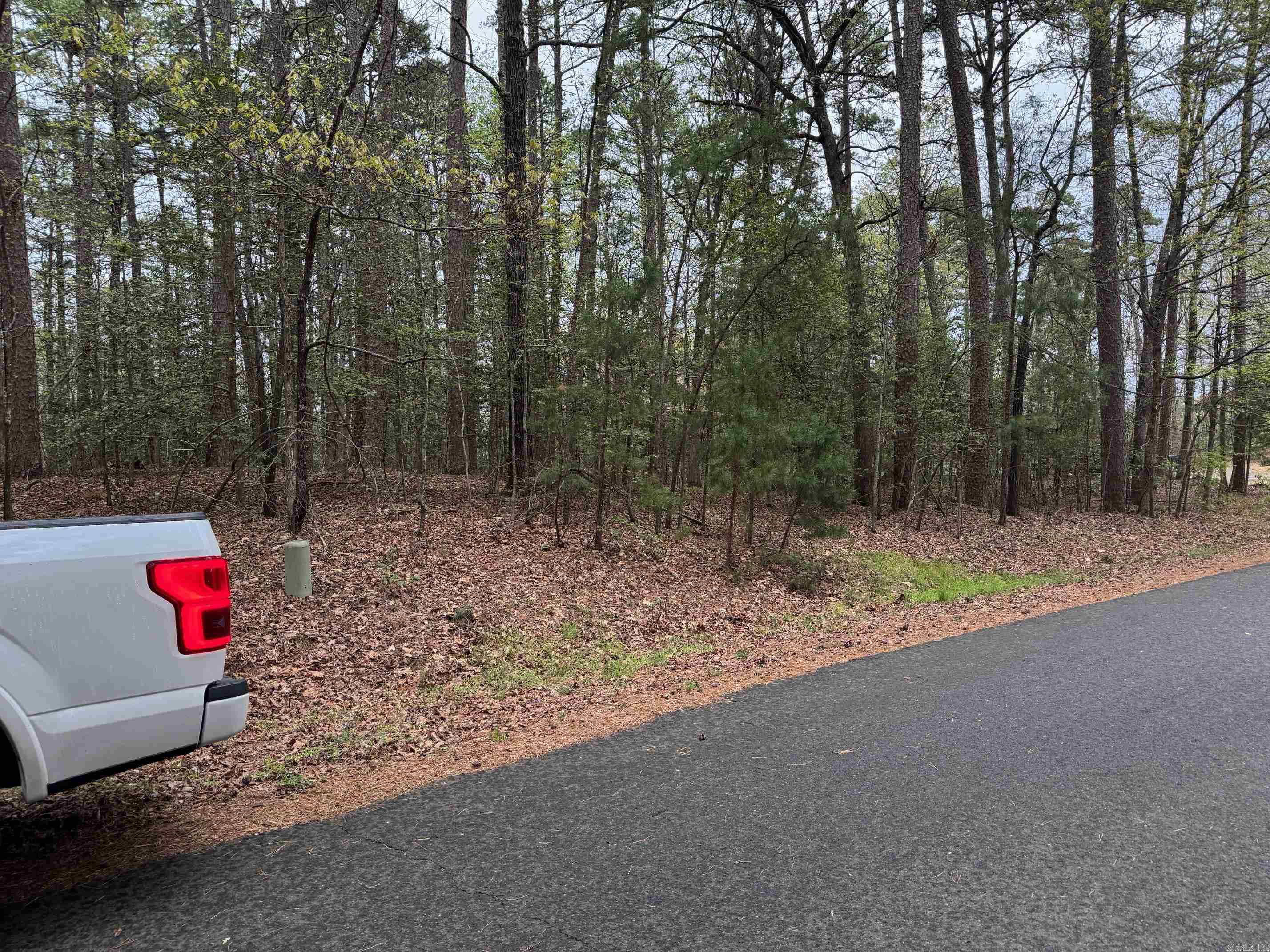 51  ZARPA WAY  Hot Springs Village, AR
