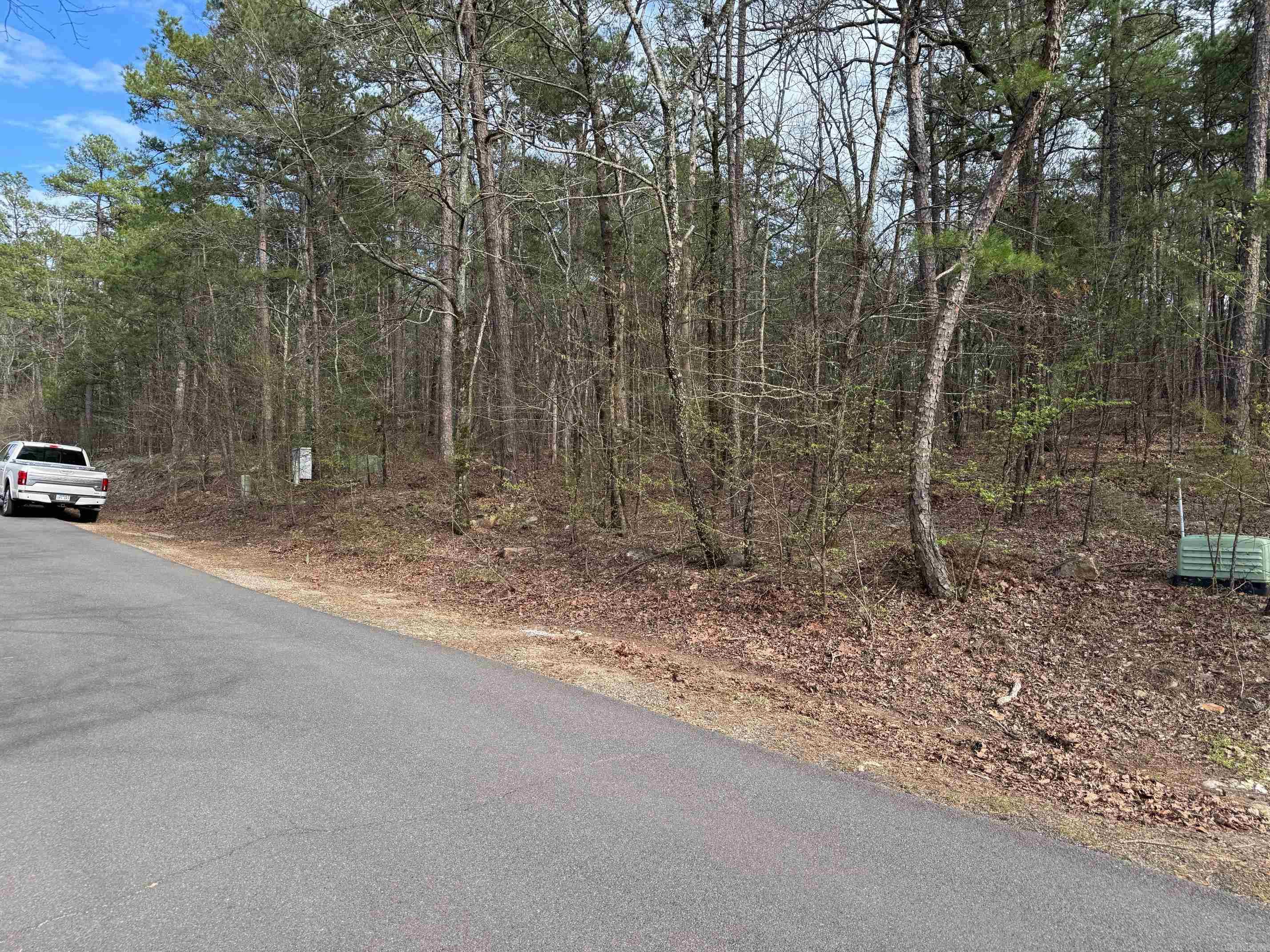 18  FINEZA WAY  Hot Springs Village, AR